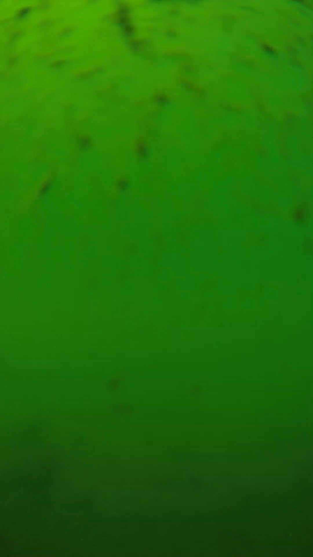 lander_ipcam_20240626130539.png