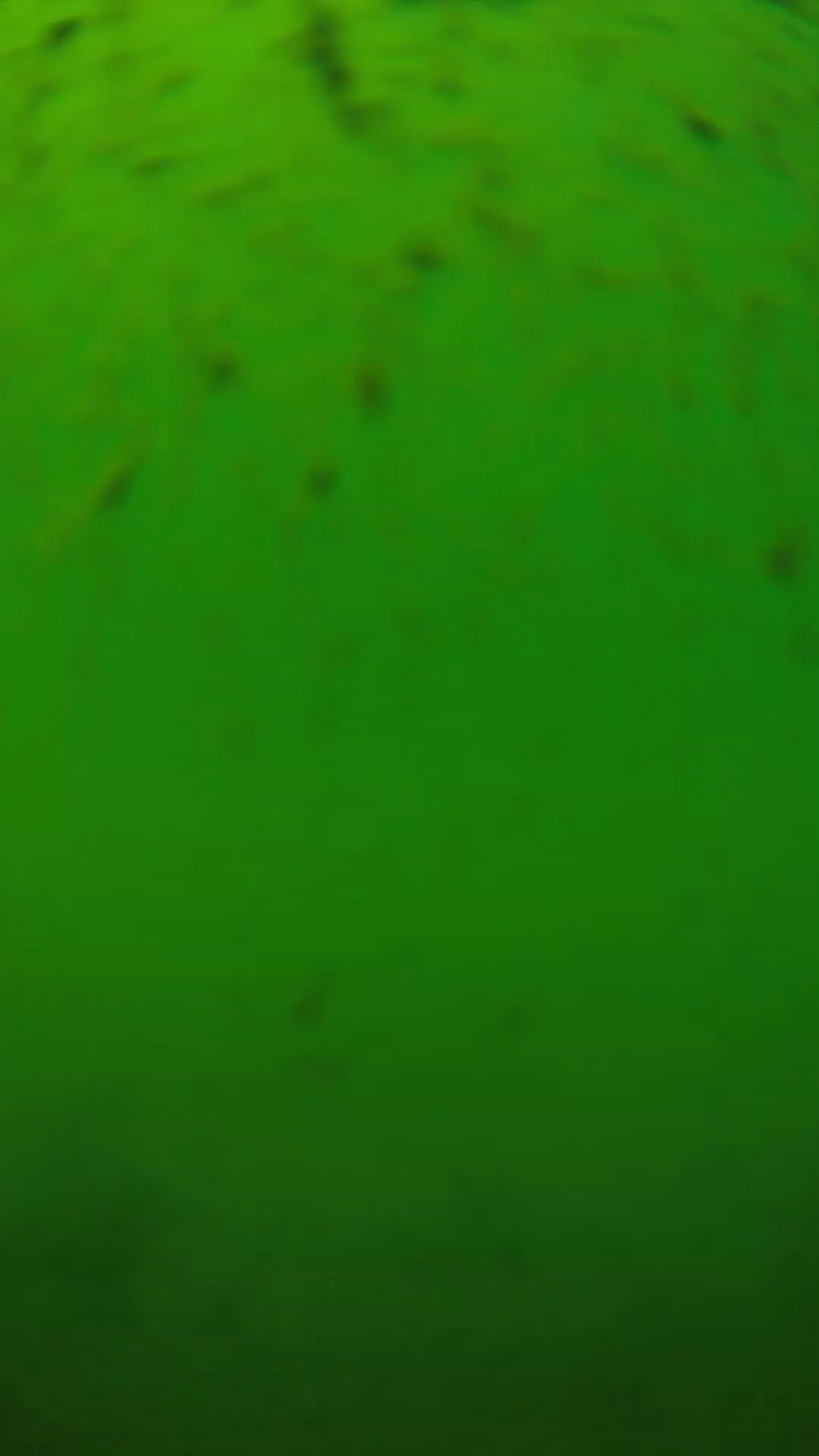 lander_ipcam_20240626130540.png