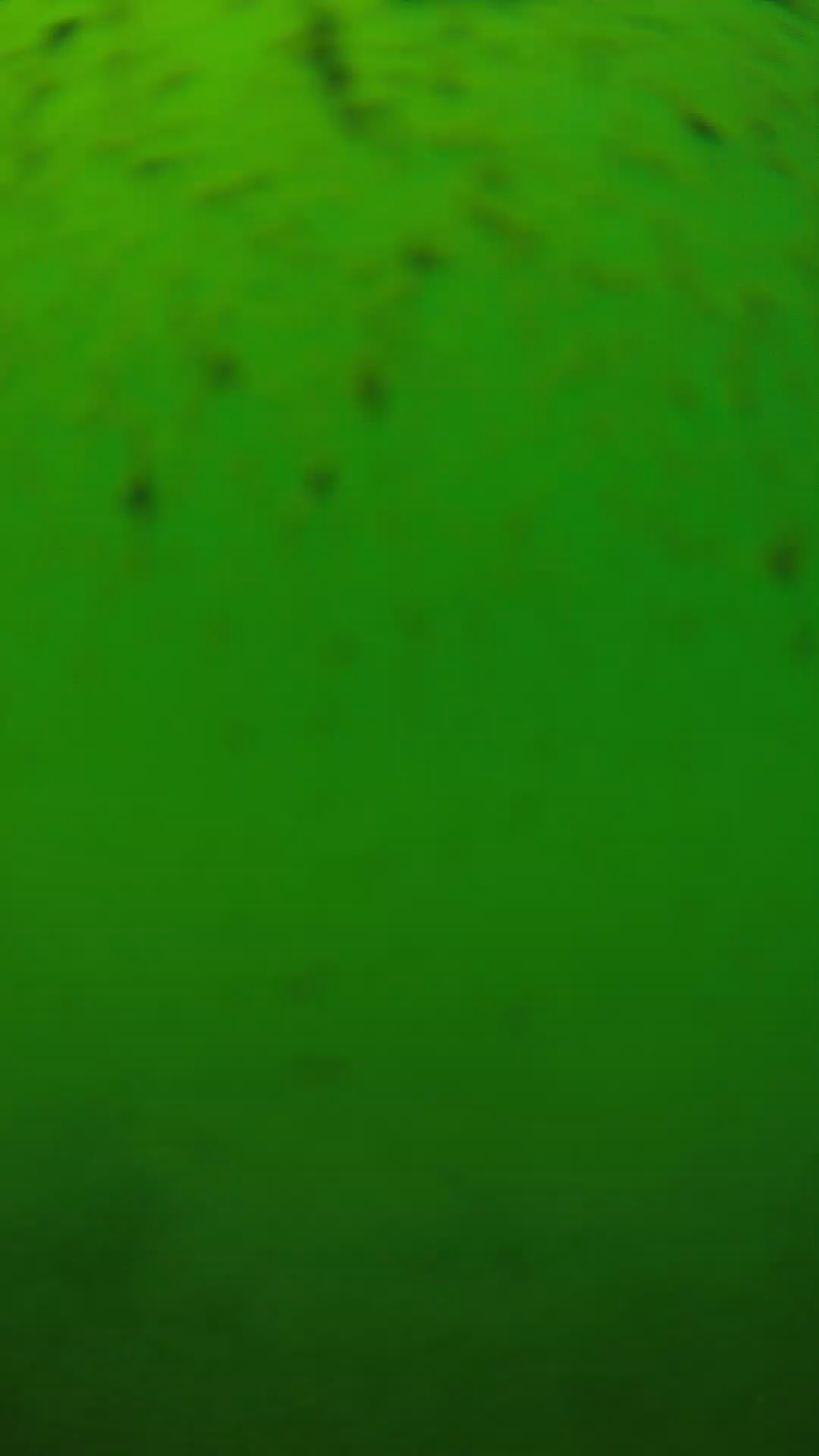 lander_ipcam_20240626130541.png