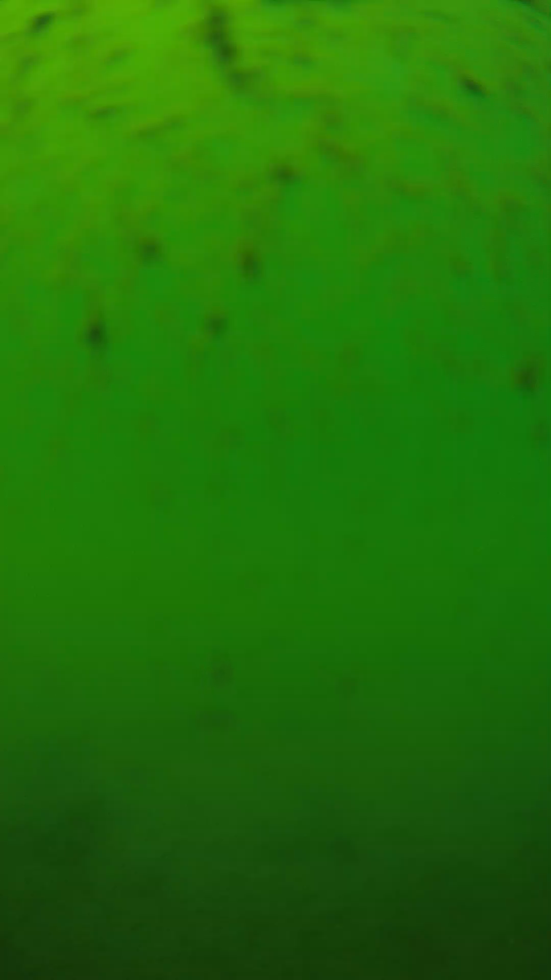 lander_ipcam_20240626130542.png