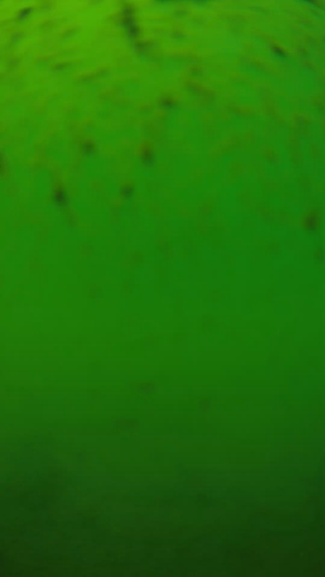 lander_ipcam_20240626130543.png