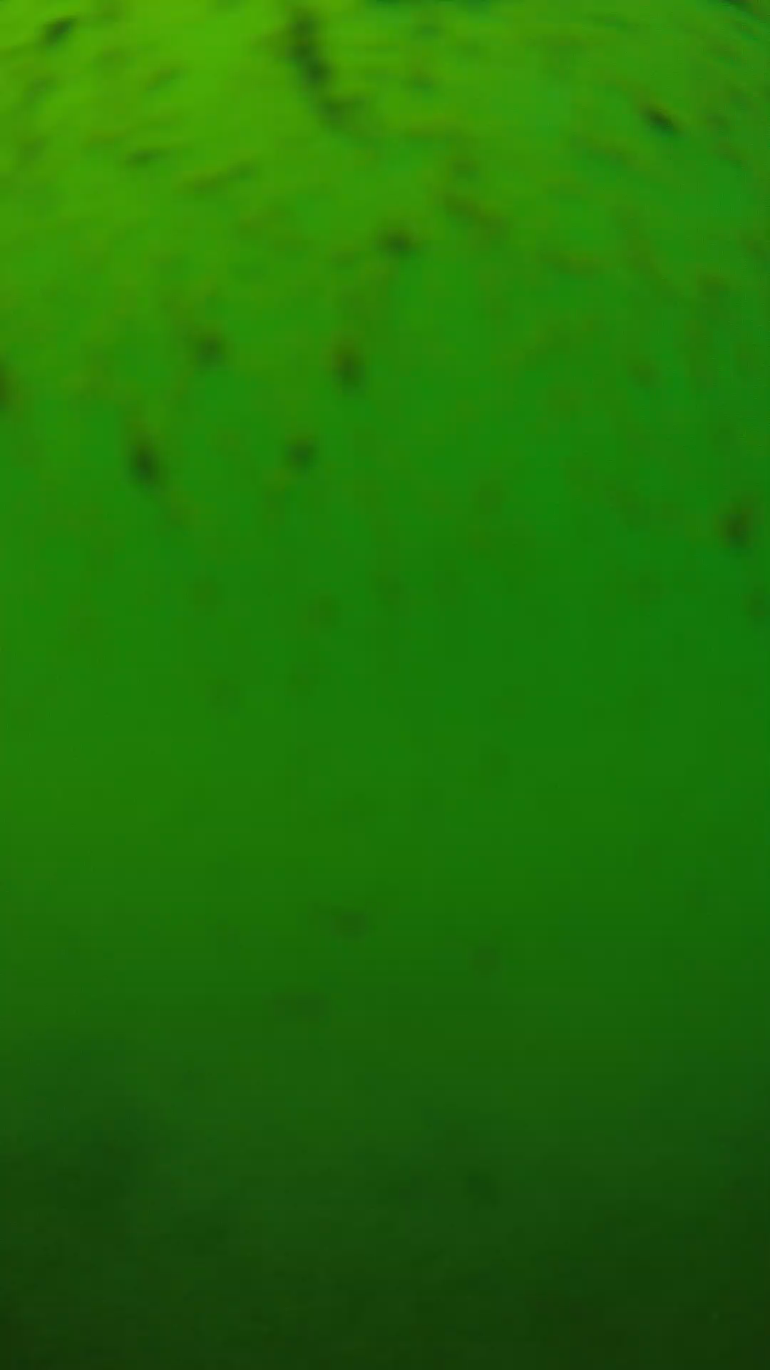 lander_ipcam_20240626130544.png