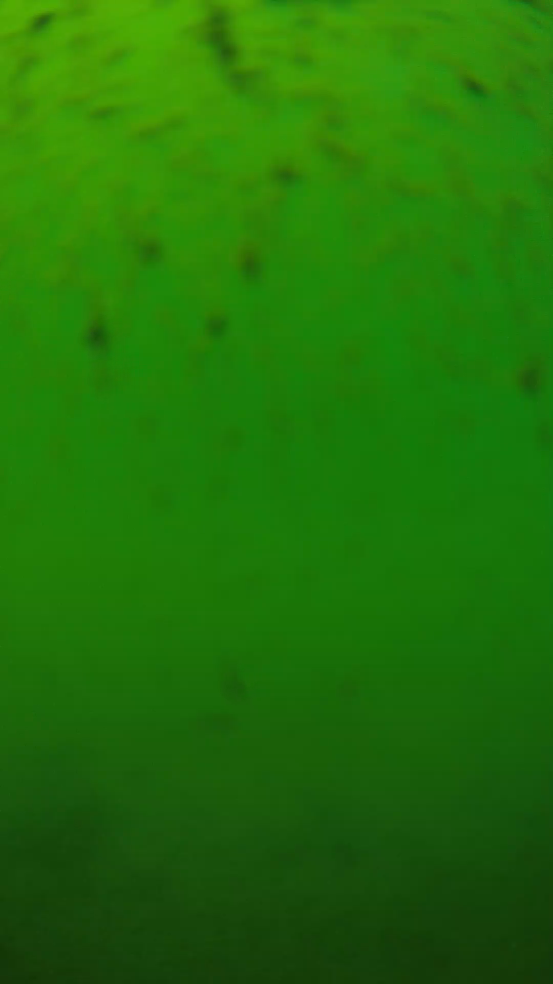 lander_ipcam_20240626130546.png