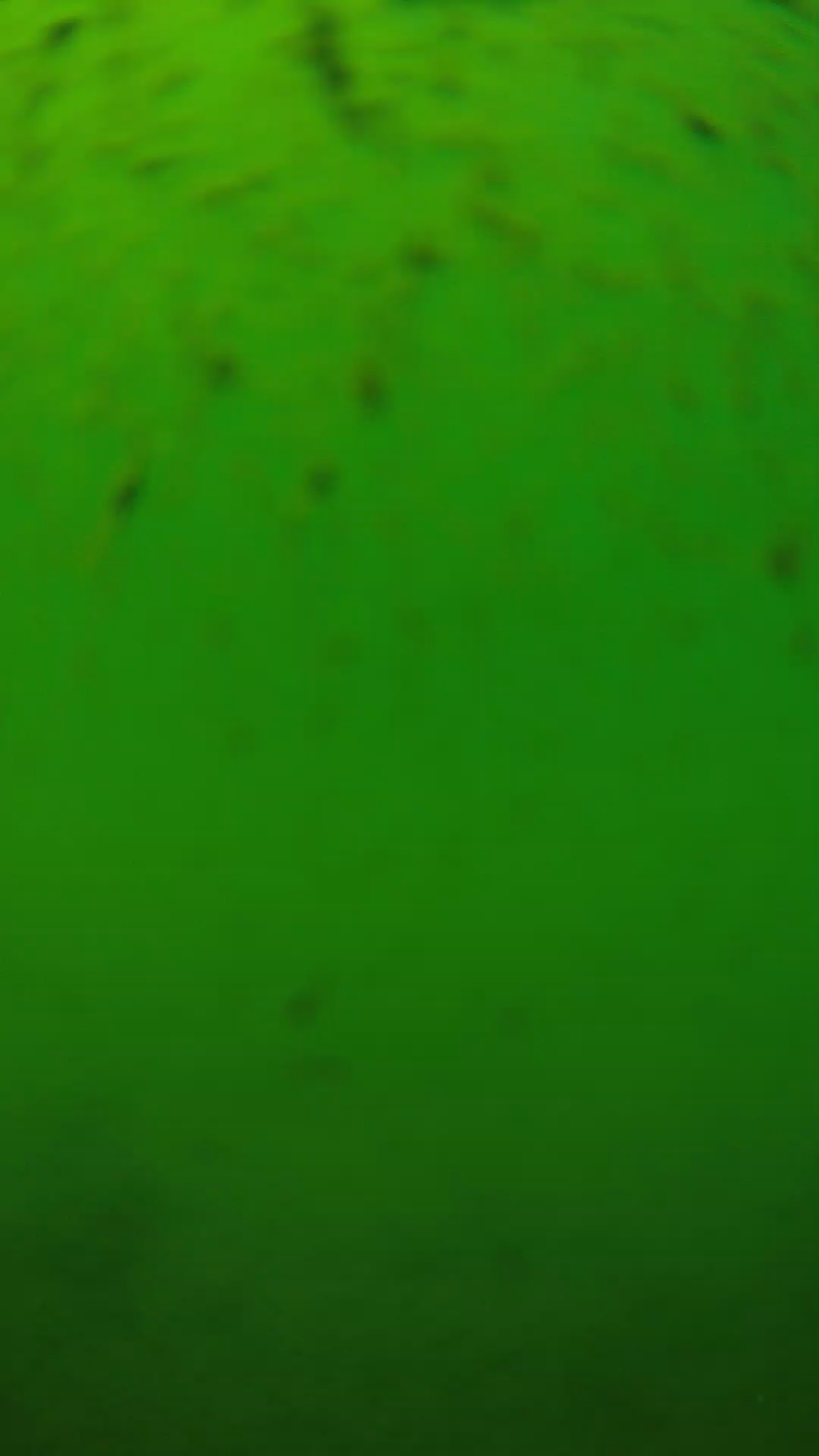 lander_ipcam_20240626130548.png