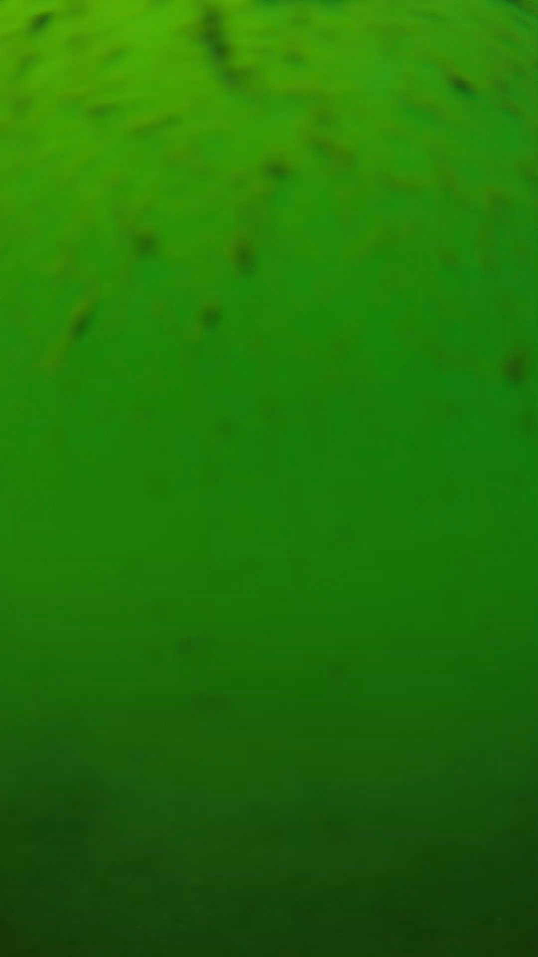 lander_ipcam_20240626130549.png