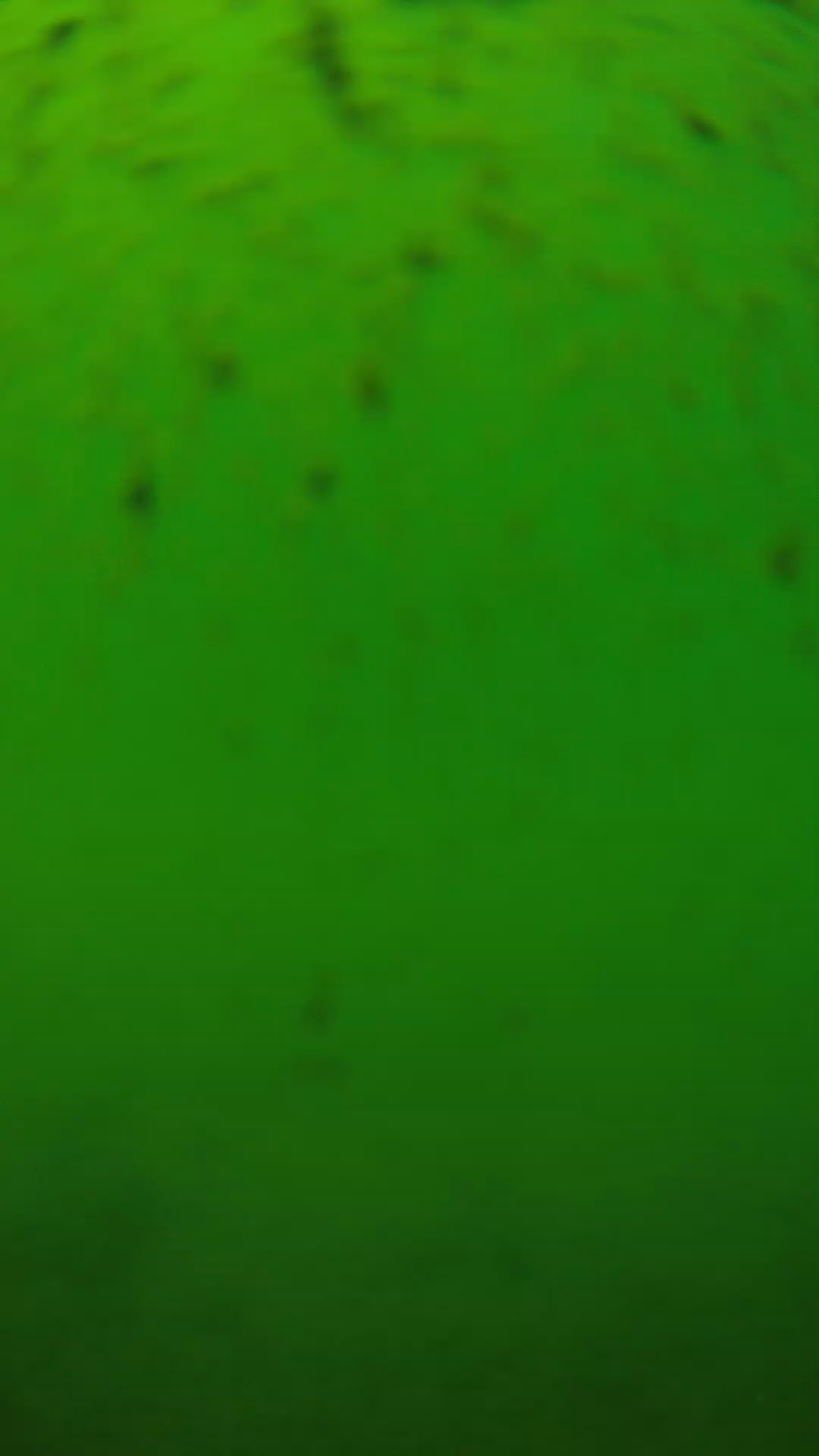 lander_ipcam_20240626130551.png