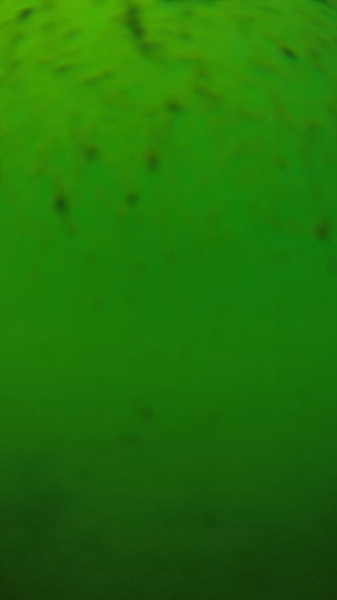 lander_ipcam_20240626130552.png