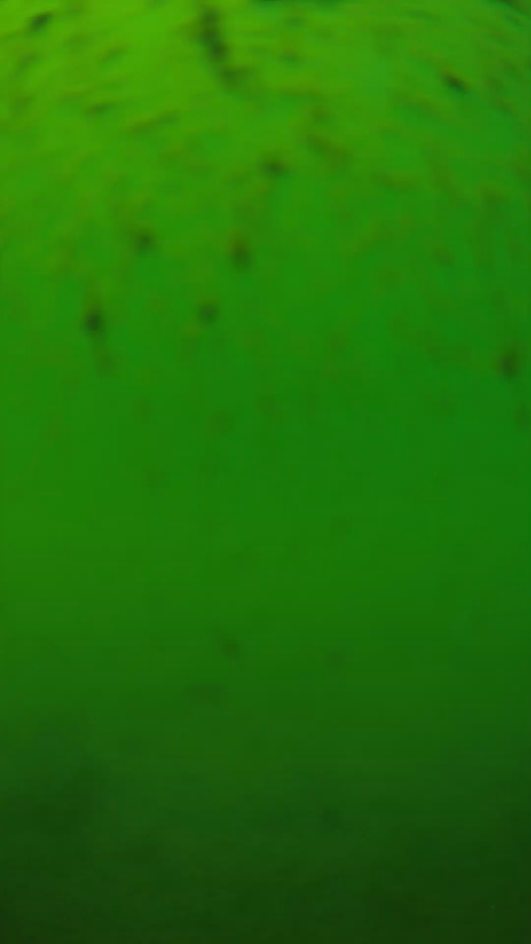 lander_ipcam_20240626130553.png