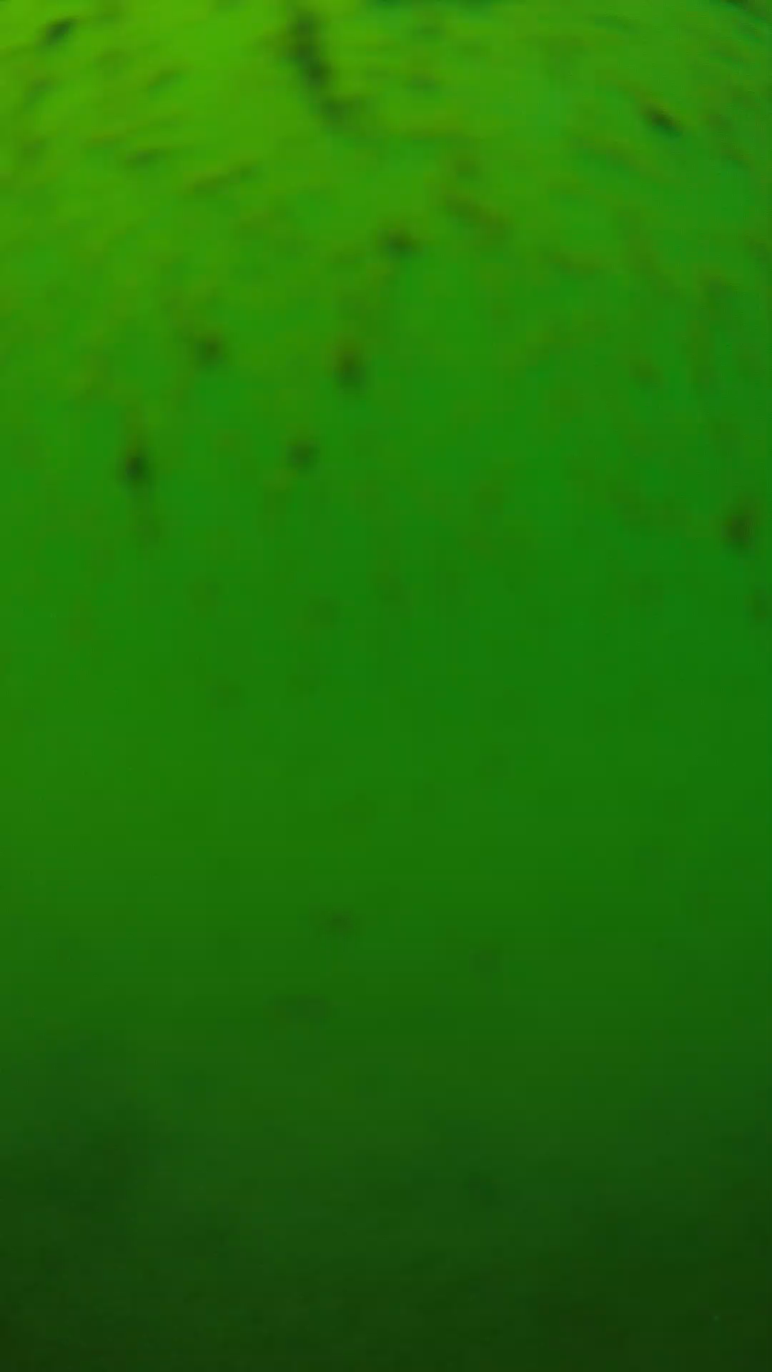 lander_ipcam_20240626130554.png