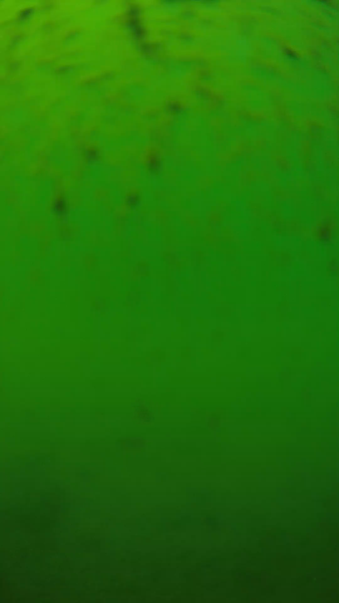 lander_ipcam_20240626130555.png