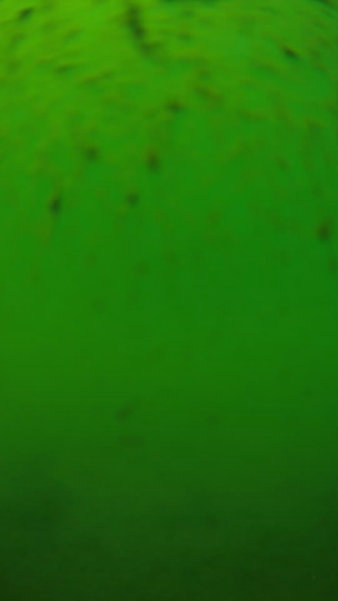 lander_ipcam_20240626130559.png