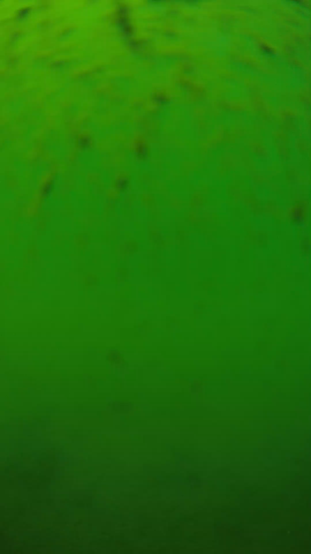 lander_ipcam_20240626130600.png