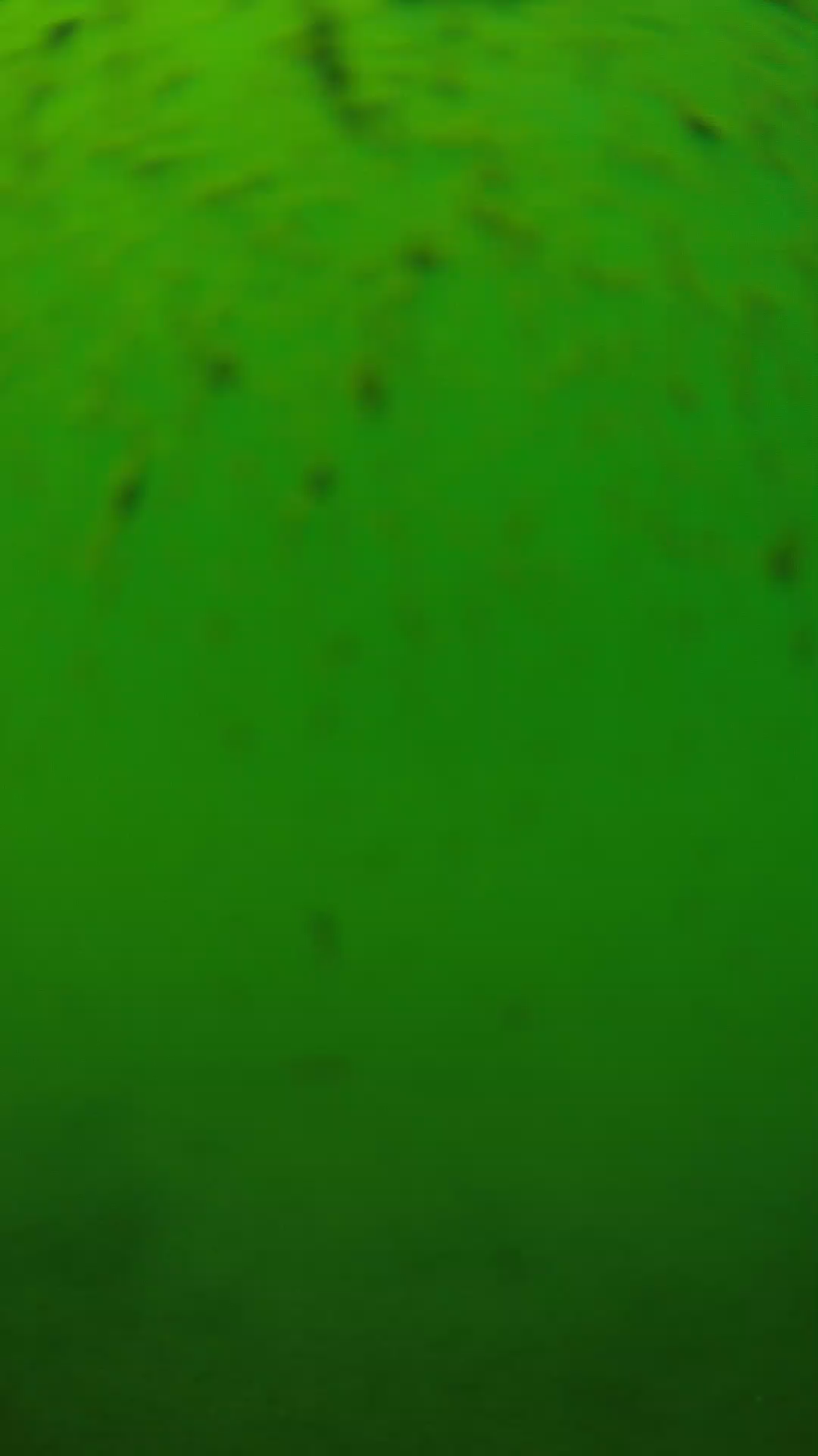 lander_ipcam_20240626130601.png