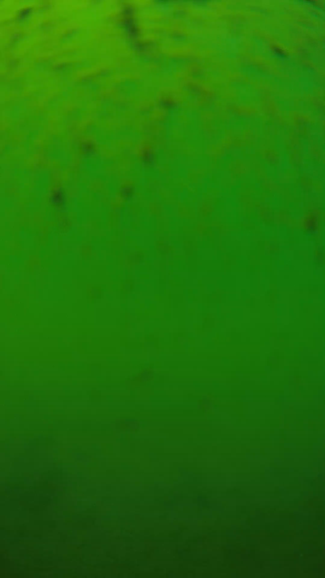 lander_ipcam_20240626130602.png