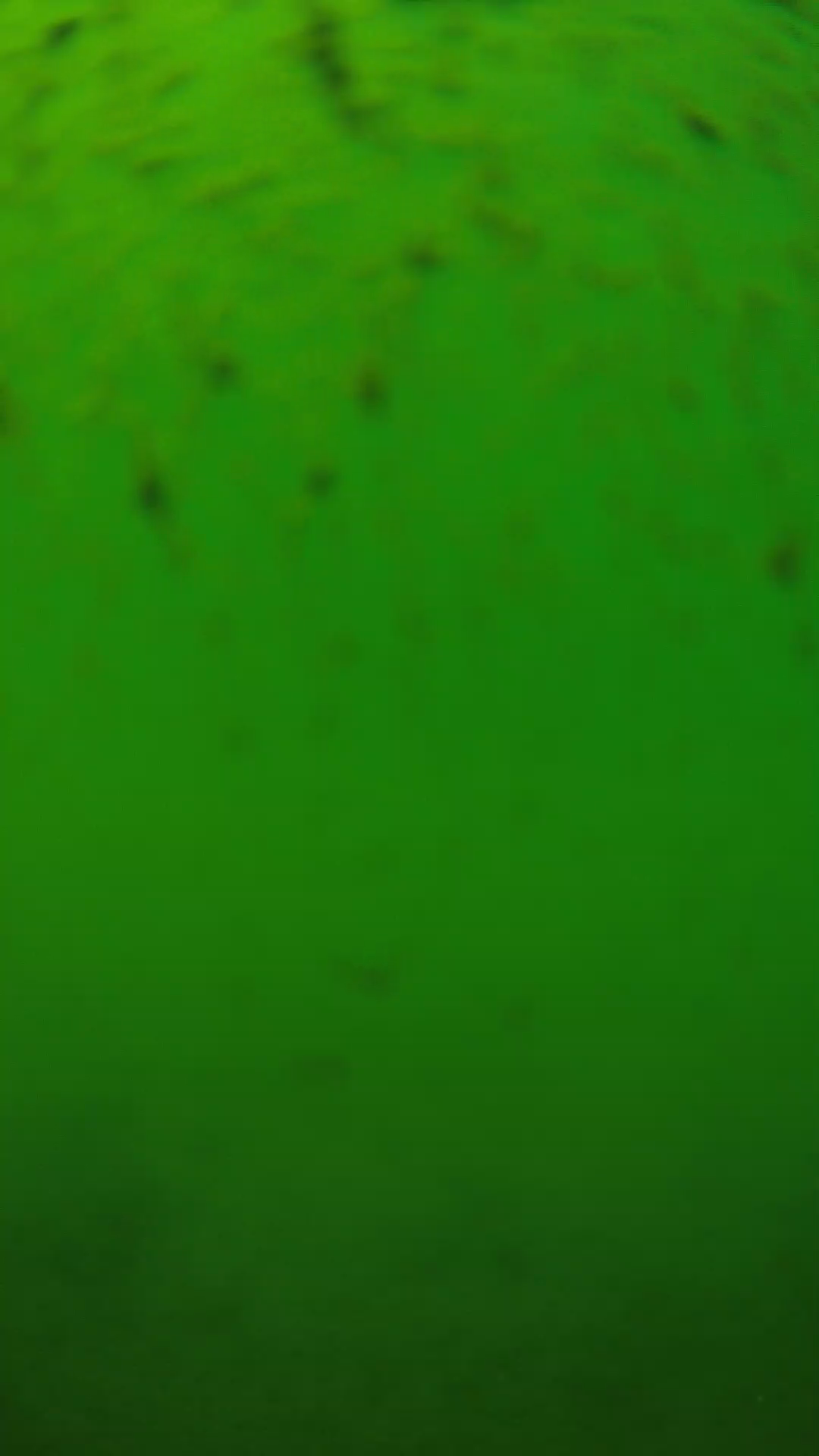 lander_ipcam_20240626130603.png
