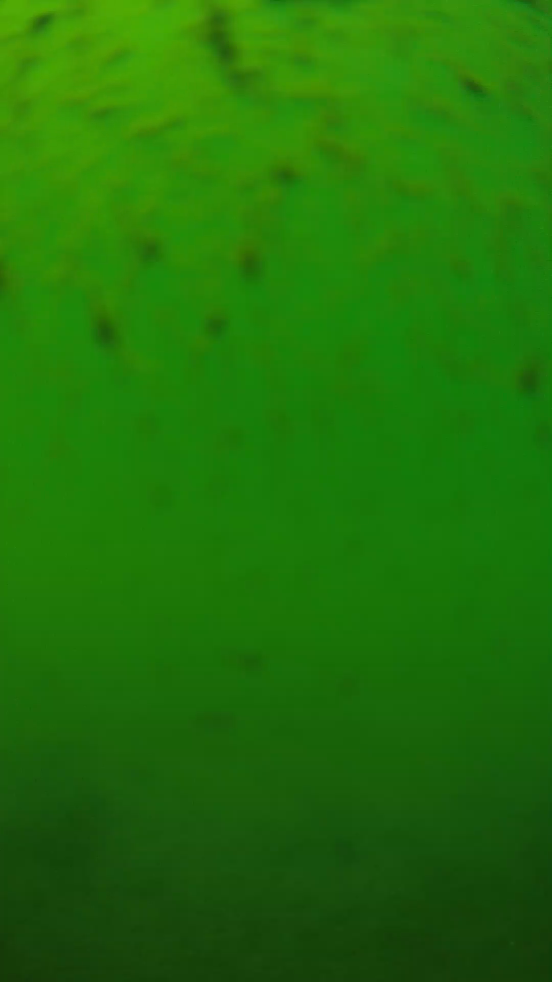 lander_ipcam_20240626130605.png