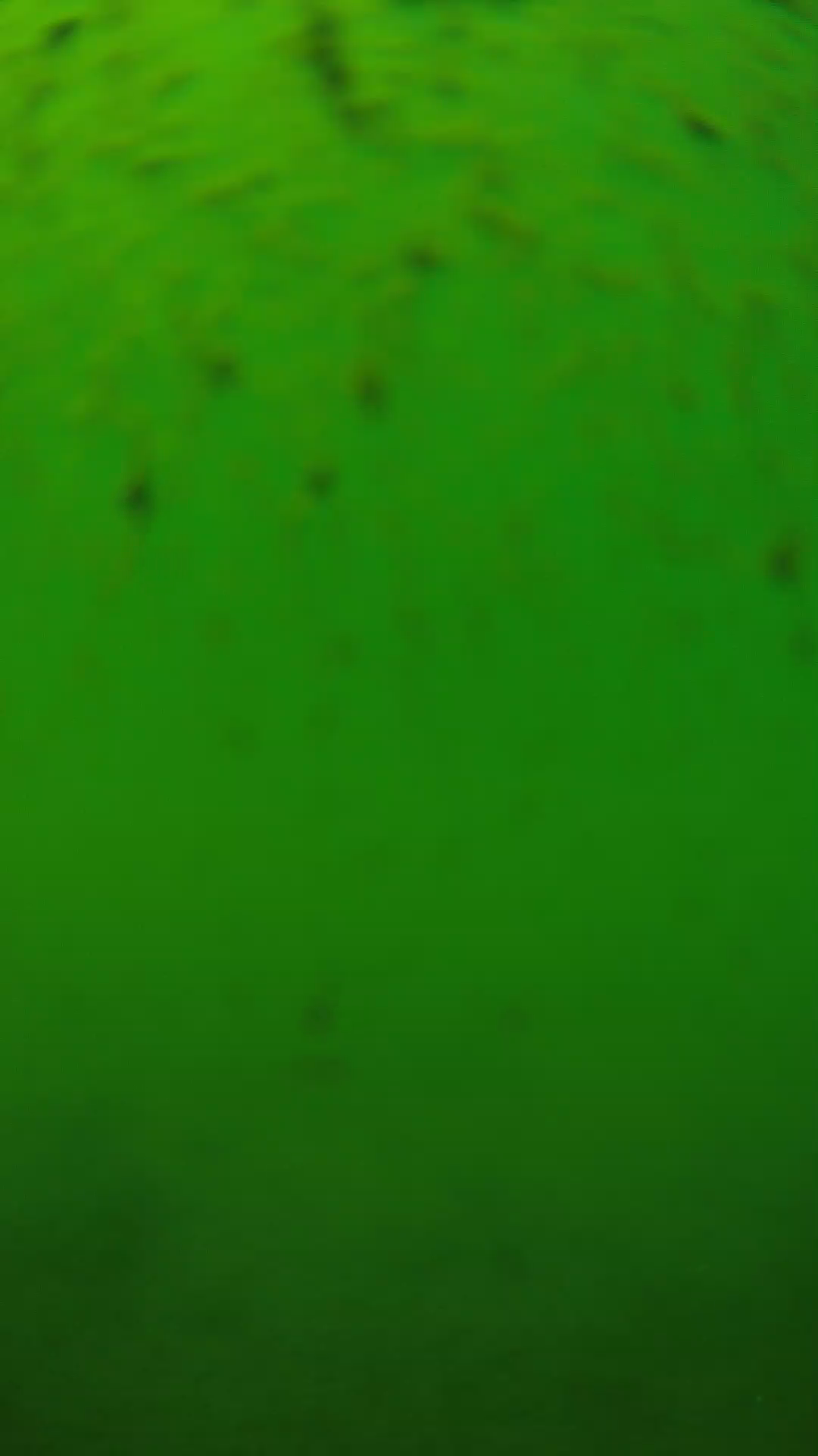 lander_ipcam_20240626130606.png
