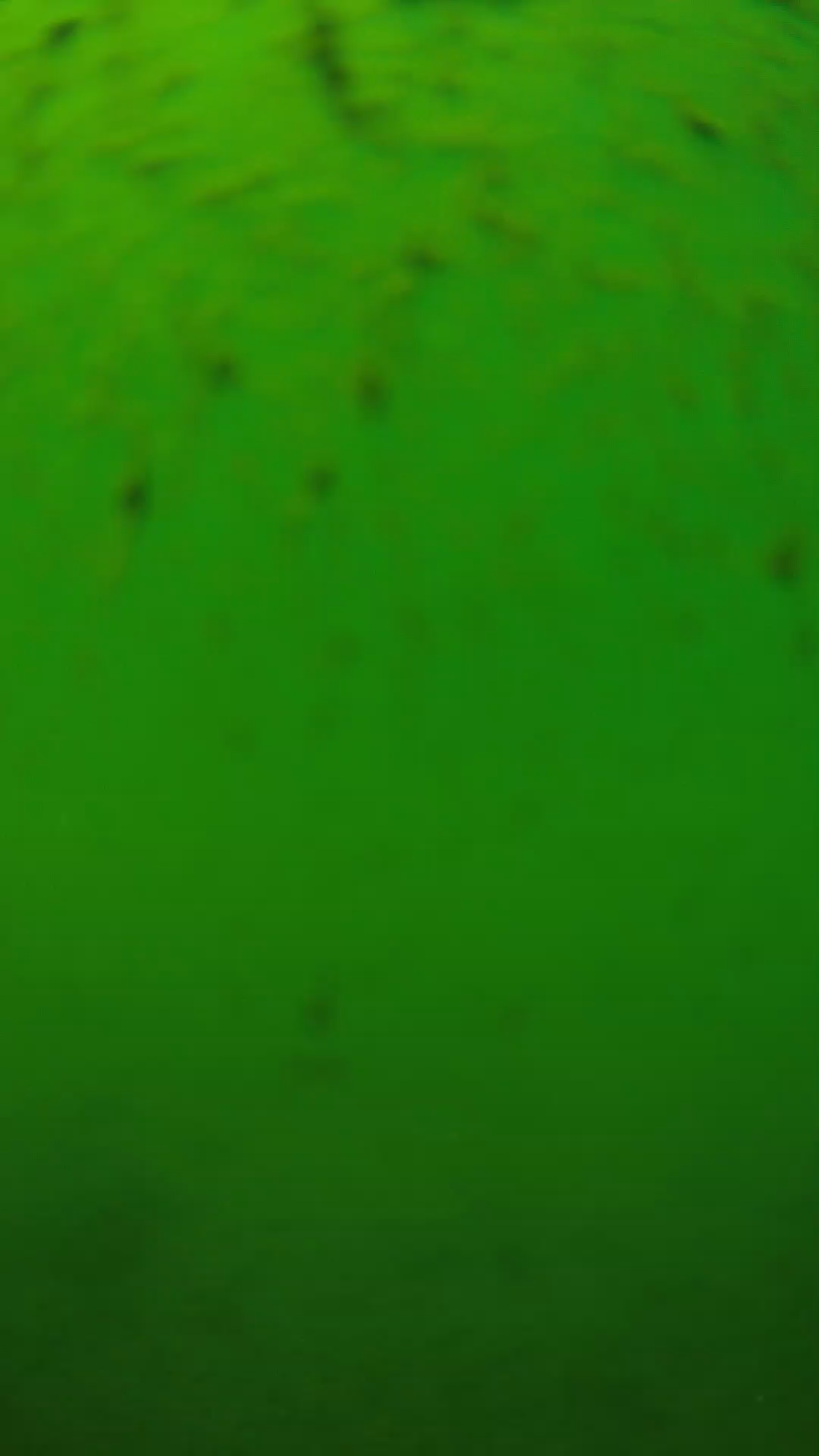 lander_ipcam_20240626130608.png