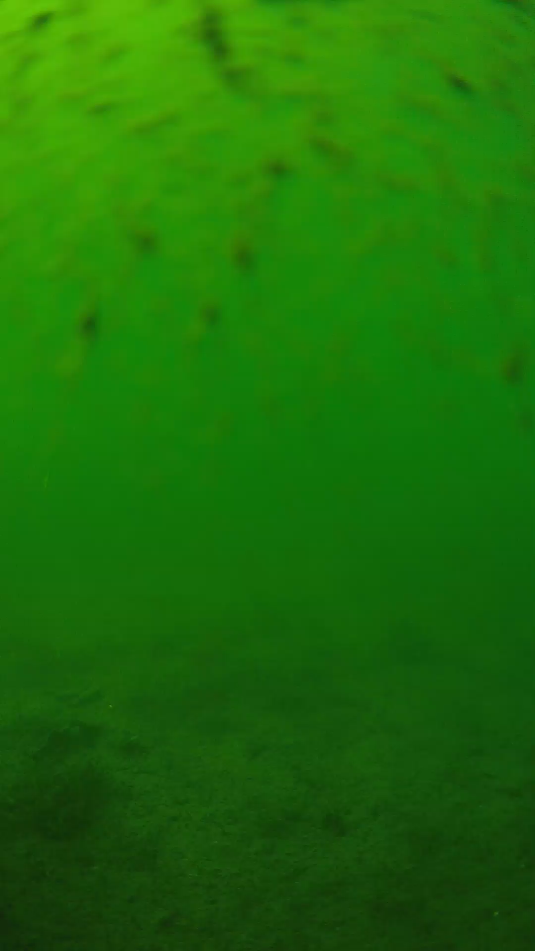 lander_ipcam_20240626140550.png