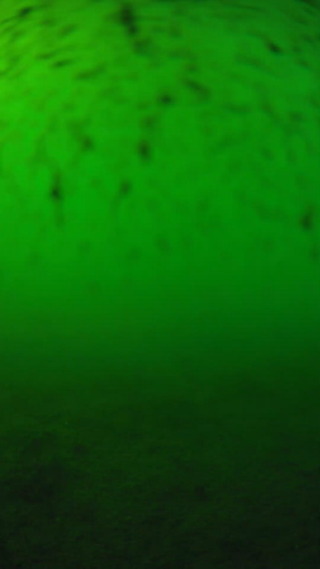 lander_ipcam_20240626163540.png
