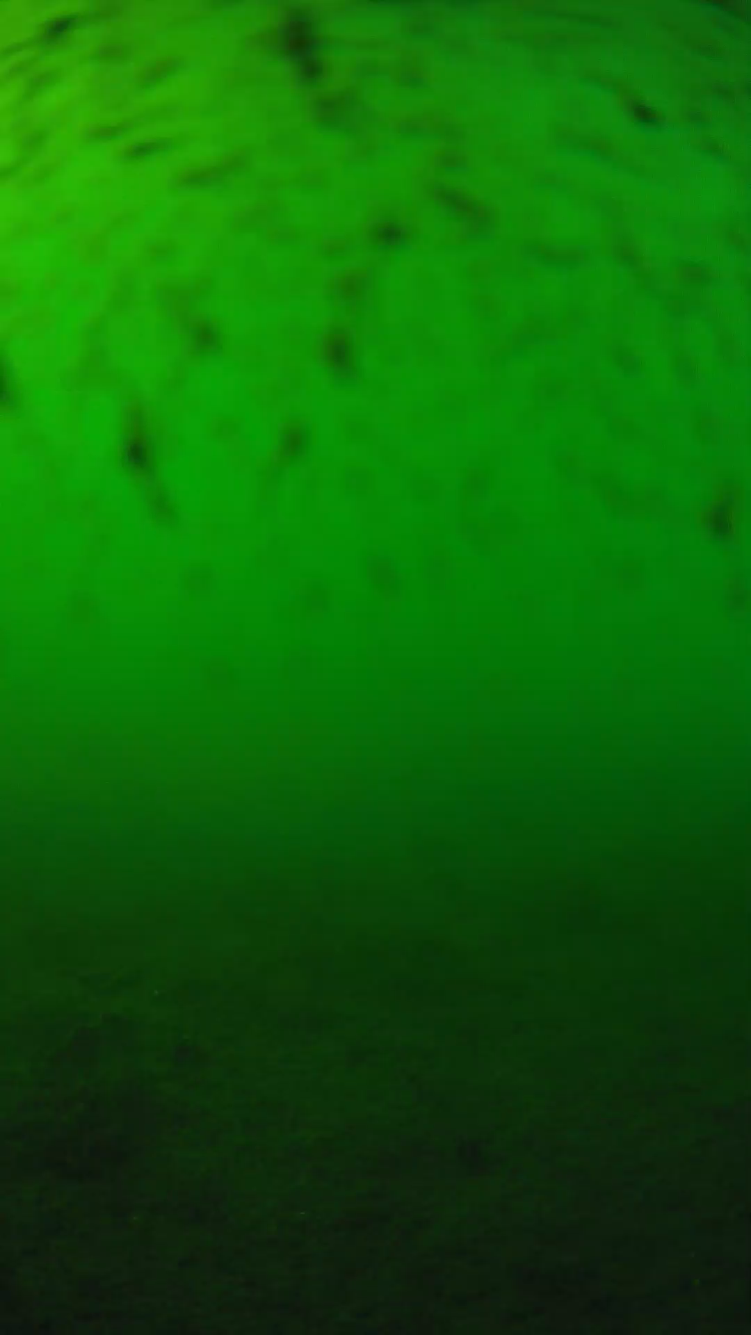 lander_ipcam_20240626163542.png