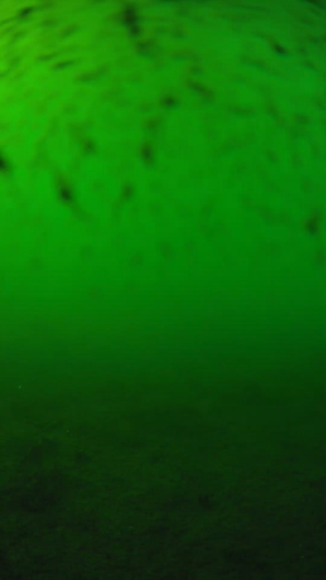 lander_ipcam_20240626163546.png