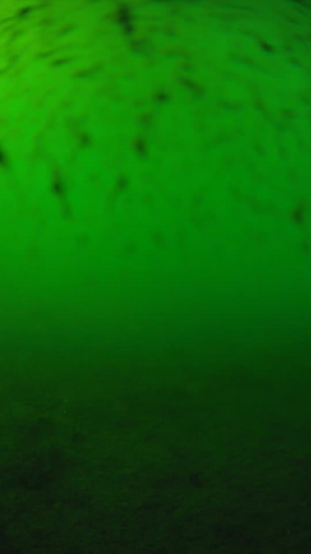 lander_ipcam_20240626163548.png