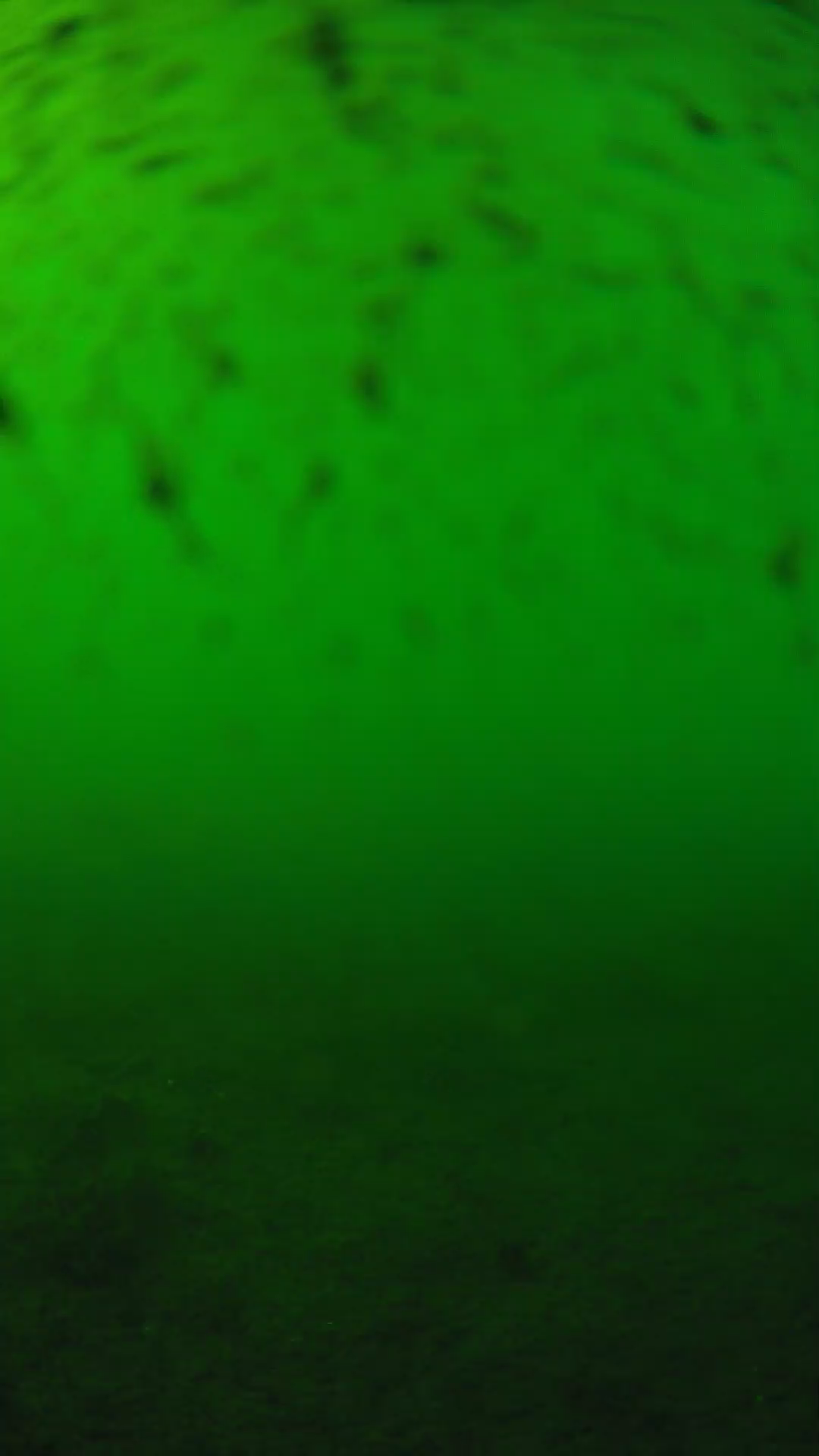 lander_ipcam_20240626163549.png