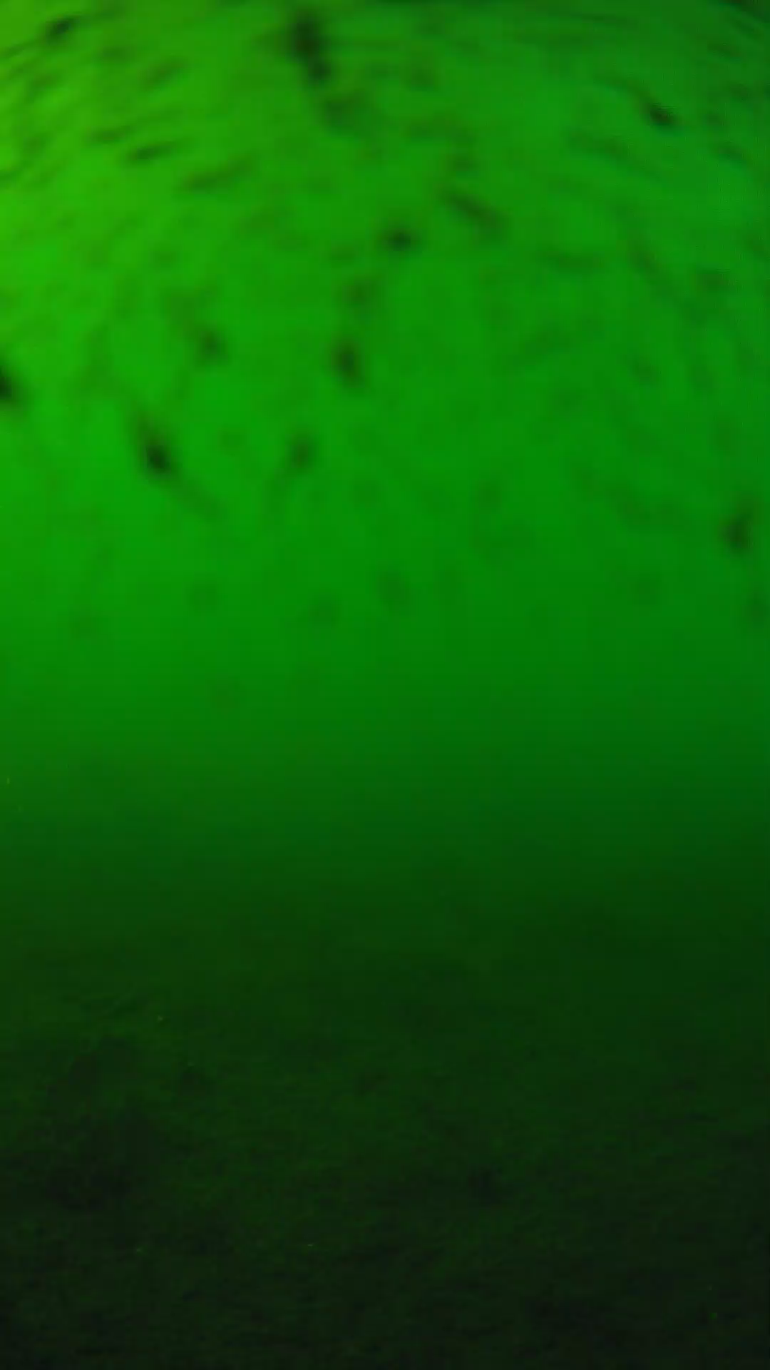 lander_ipcam_20240626163552.png