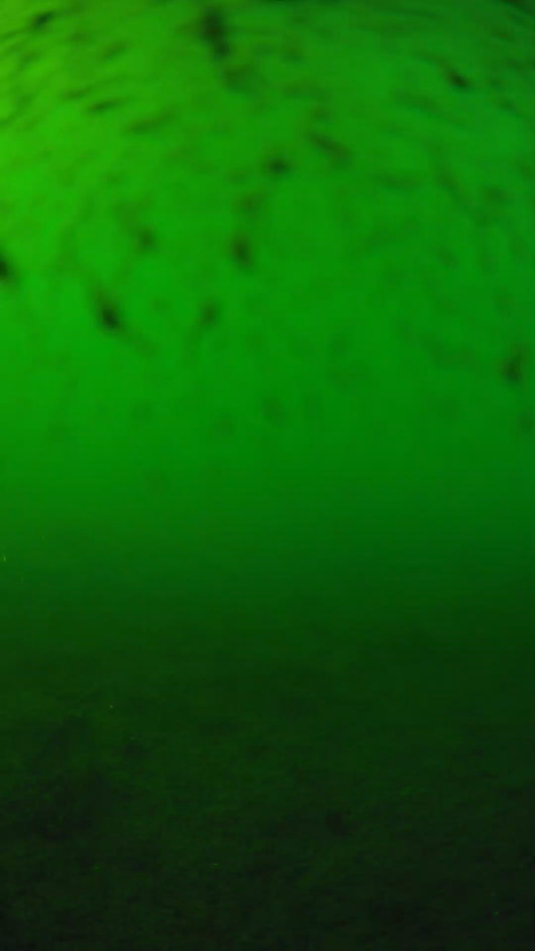lander_ipcam_20240626163553.png
