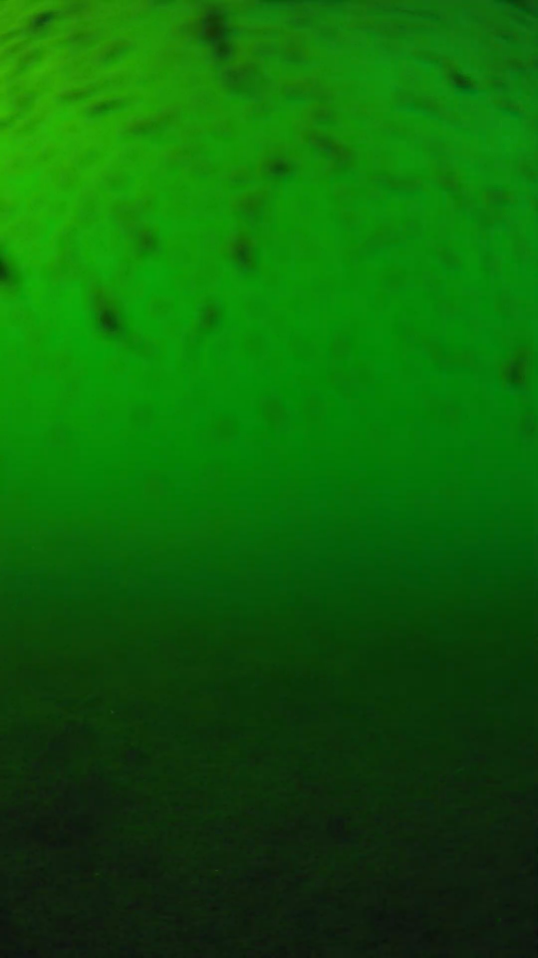 lander_ipcam_20240626163554.png