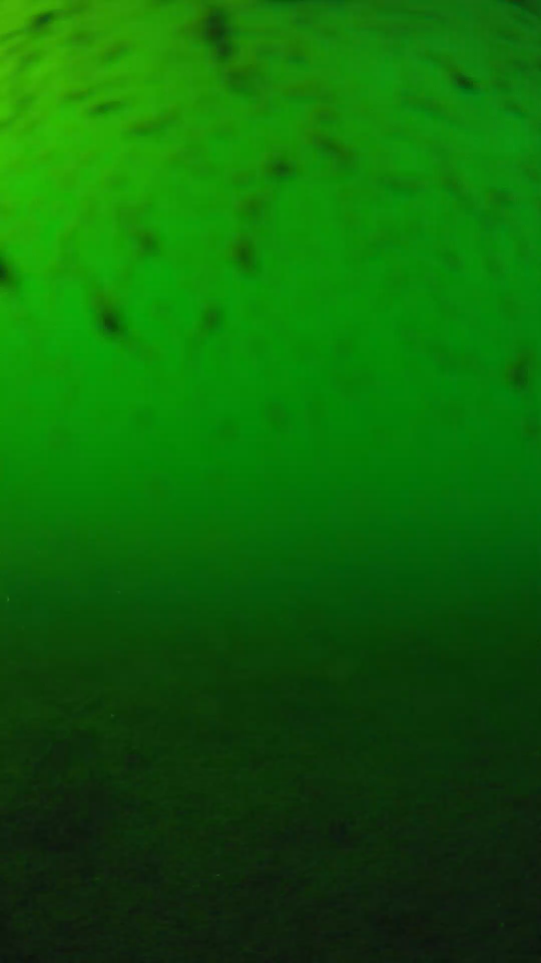 lander_ipcam_20240626163556.png