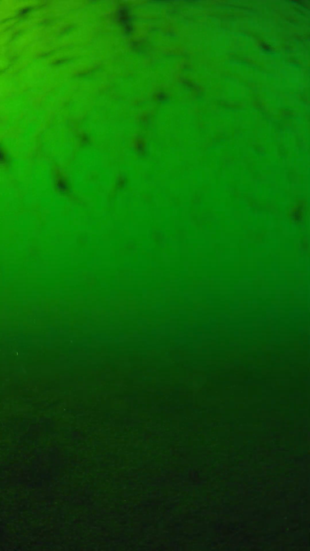 lander_ipcam_20240626163557.png