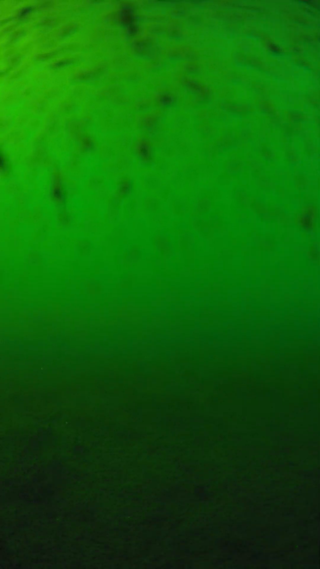 lander_ipcam_20240626163601.png