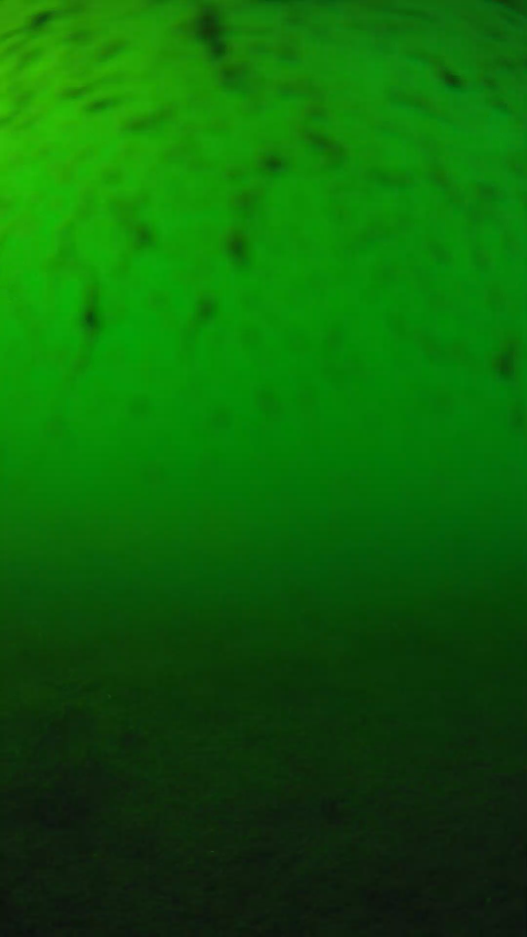 lander_ipcam_20240626163606.png