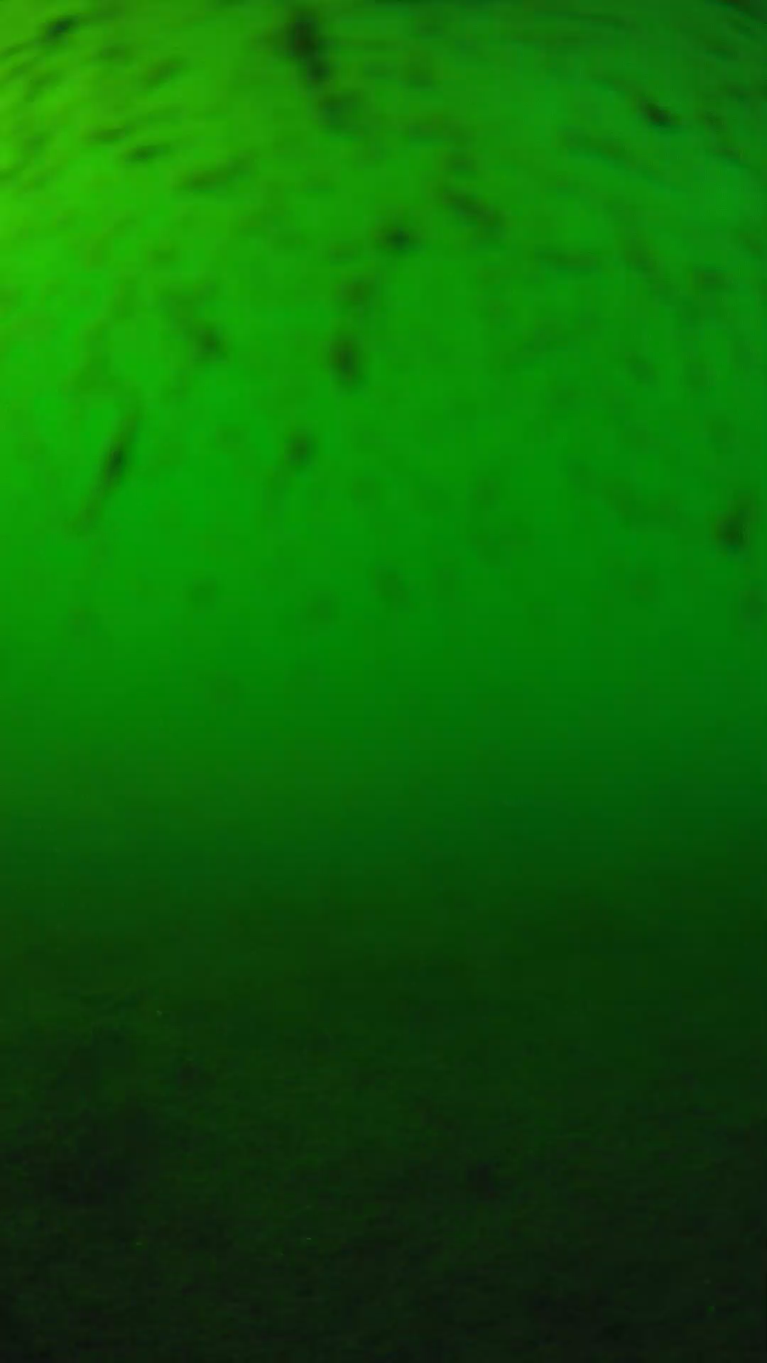 lander_ipcam_20240626163608.png