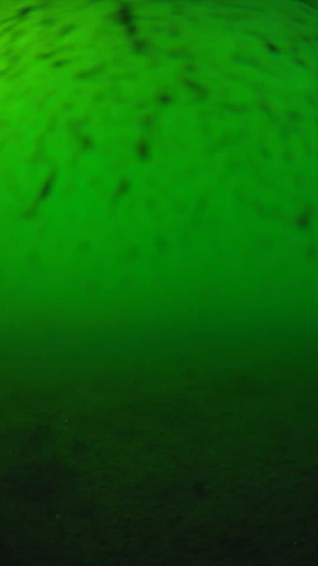 lander_ipcam_20240626170544.png