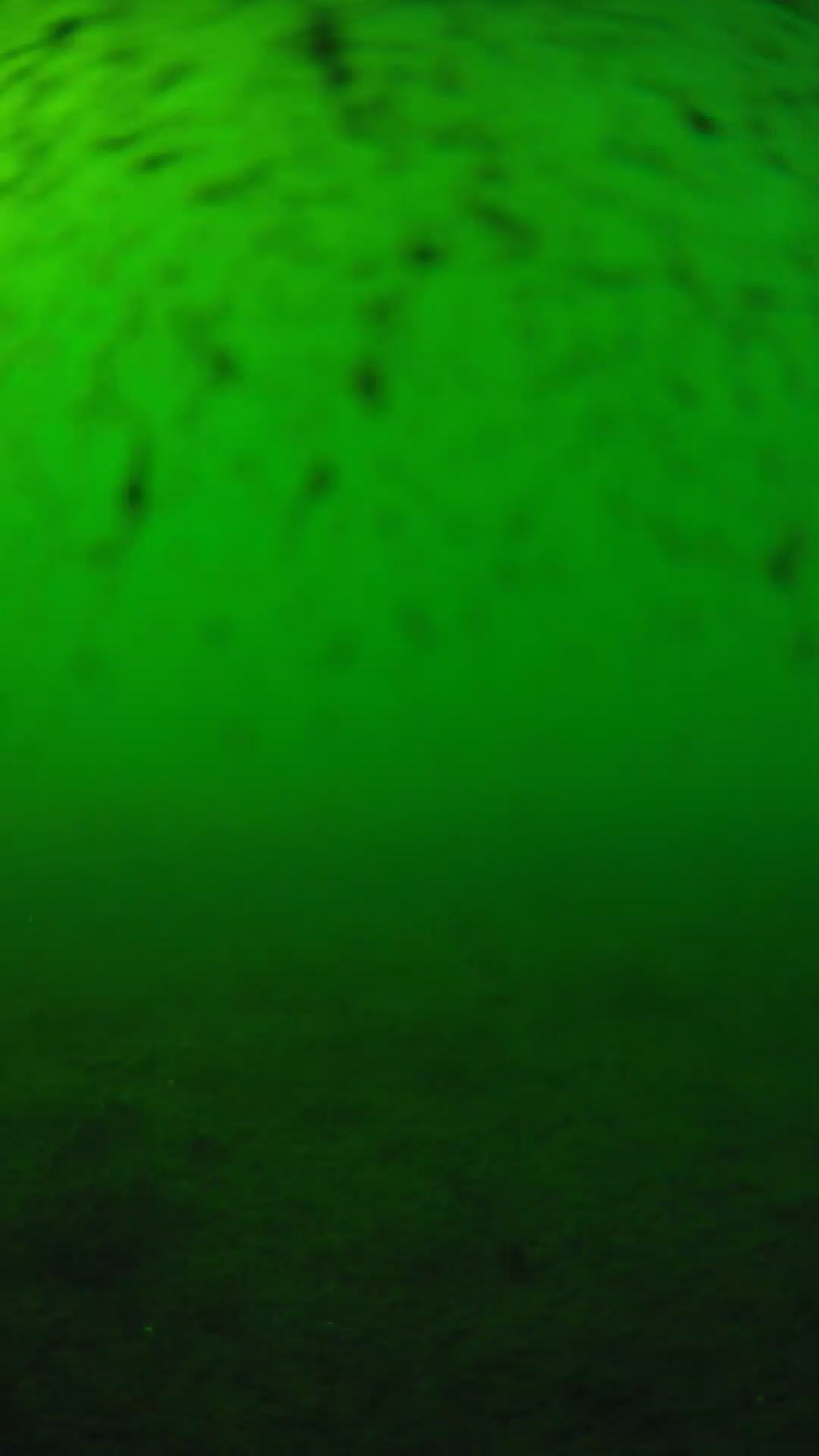 lander_ipcam_20240626170601.png