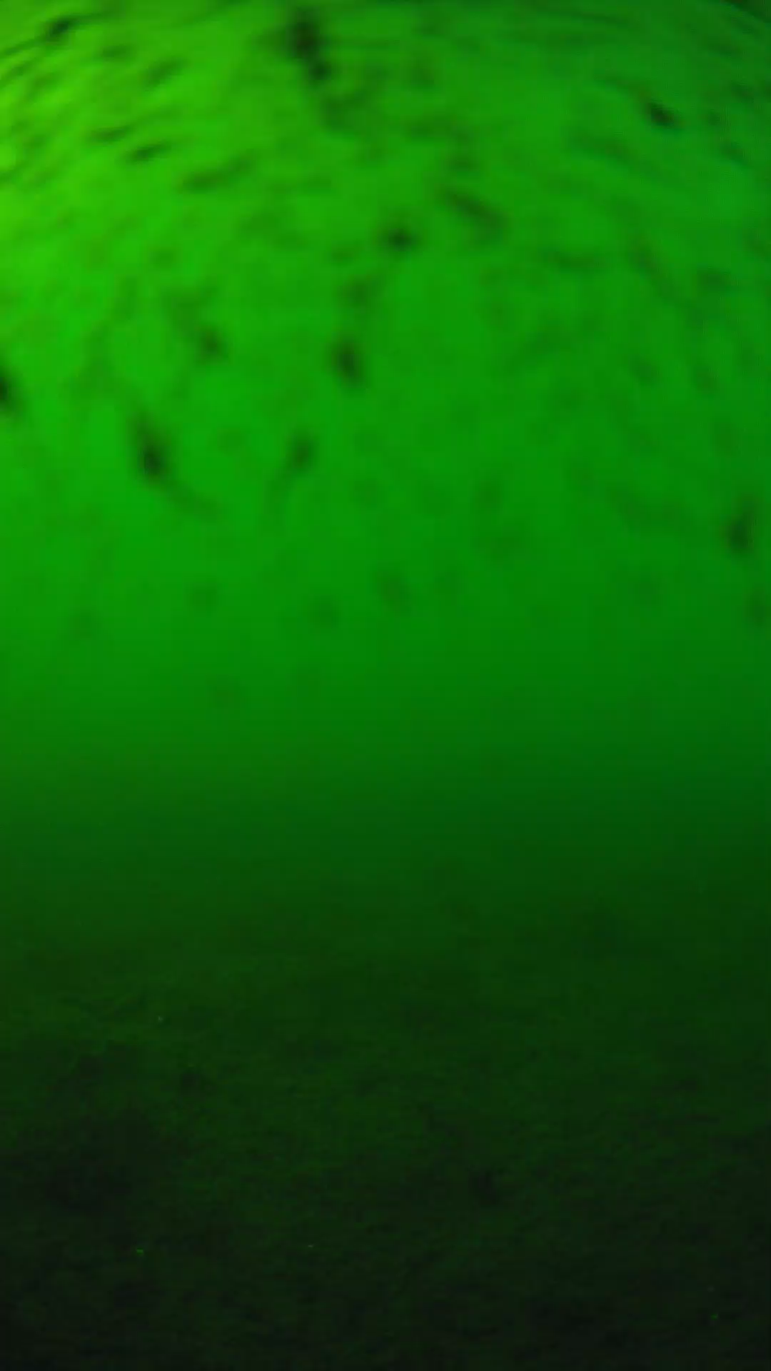 lander_ipcam_20240626170606.png