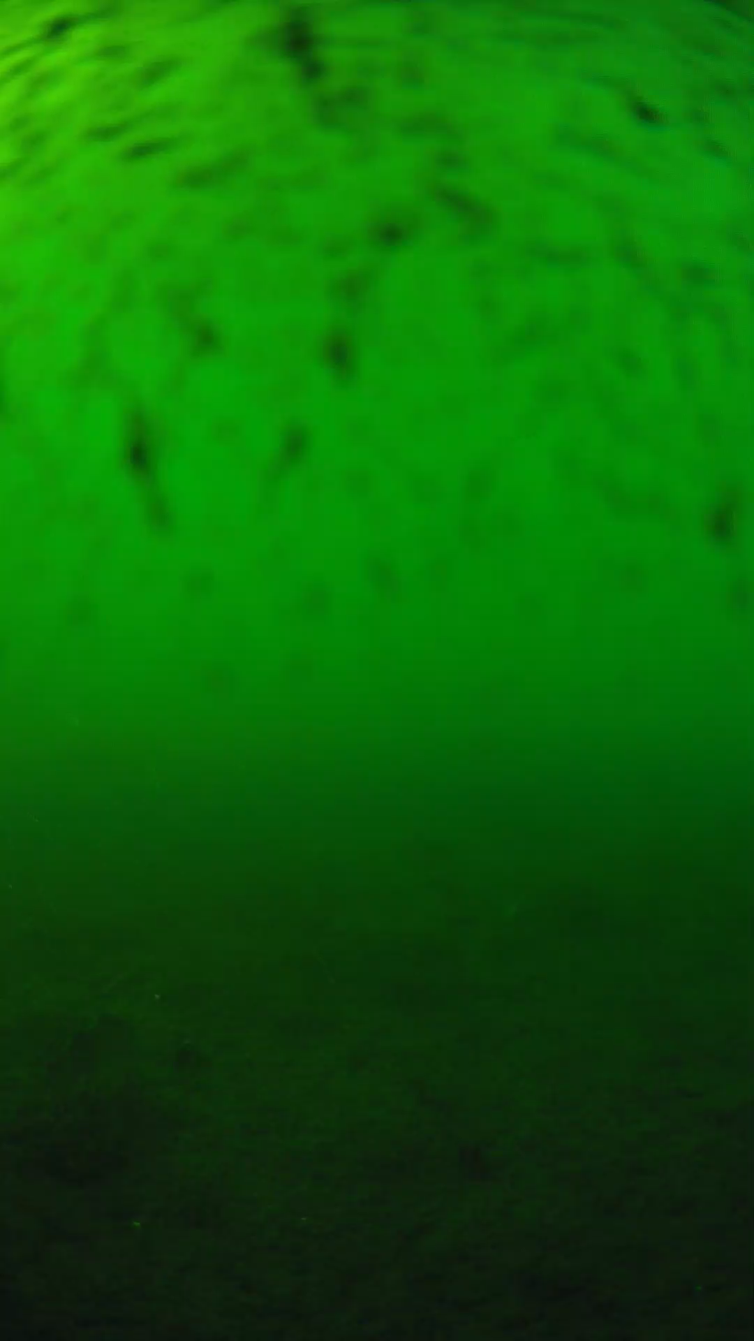 lander_ipcam_20240626173541.png