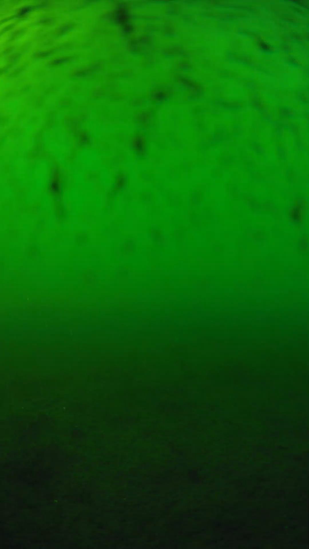 lander_ipcam_20240626173543.png