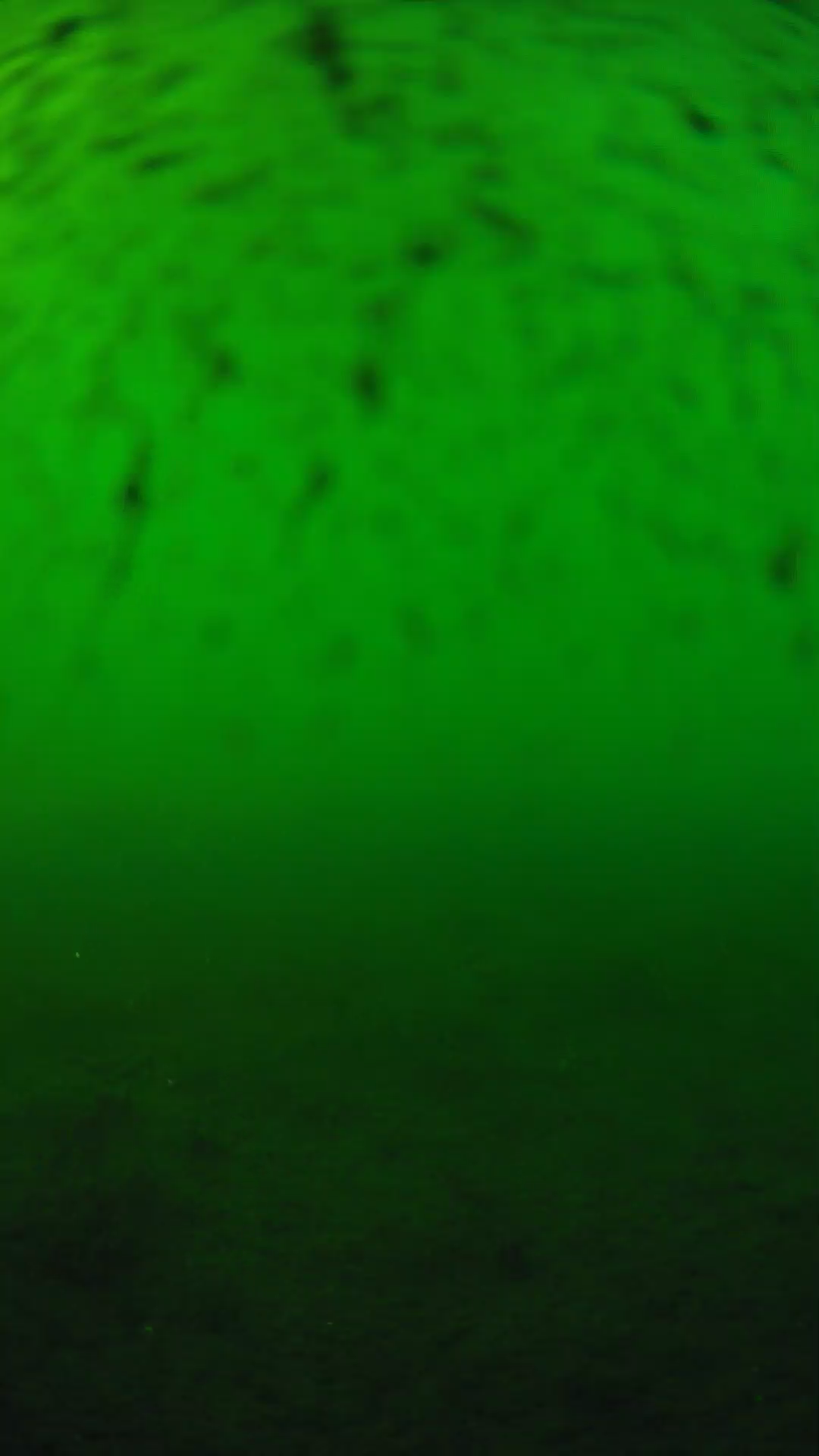 lander_ipcam_20240626173546.png