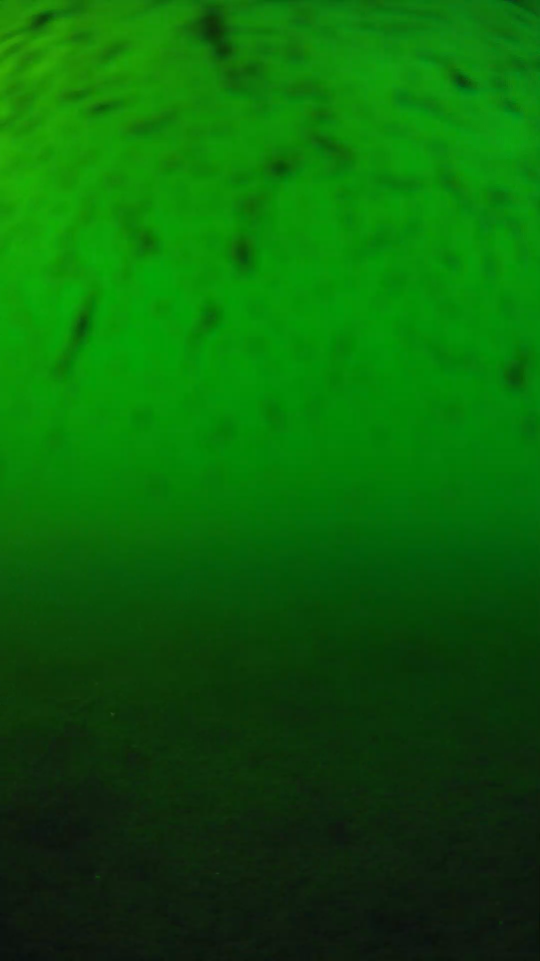 lander_ipcam_20240626173548.png