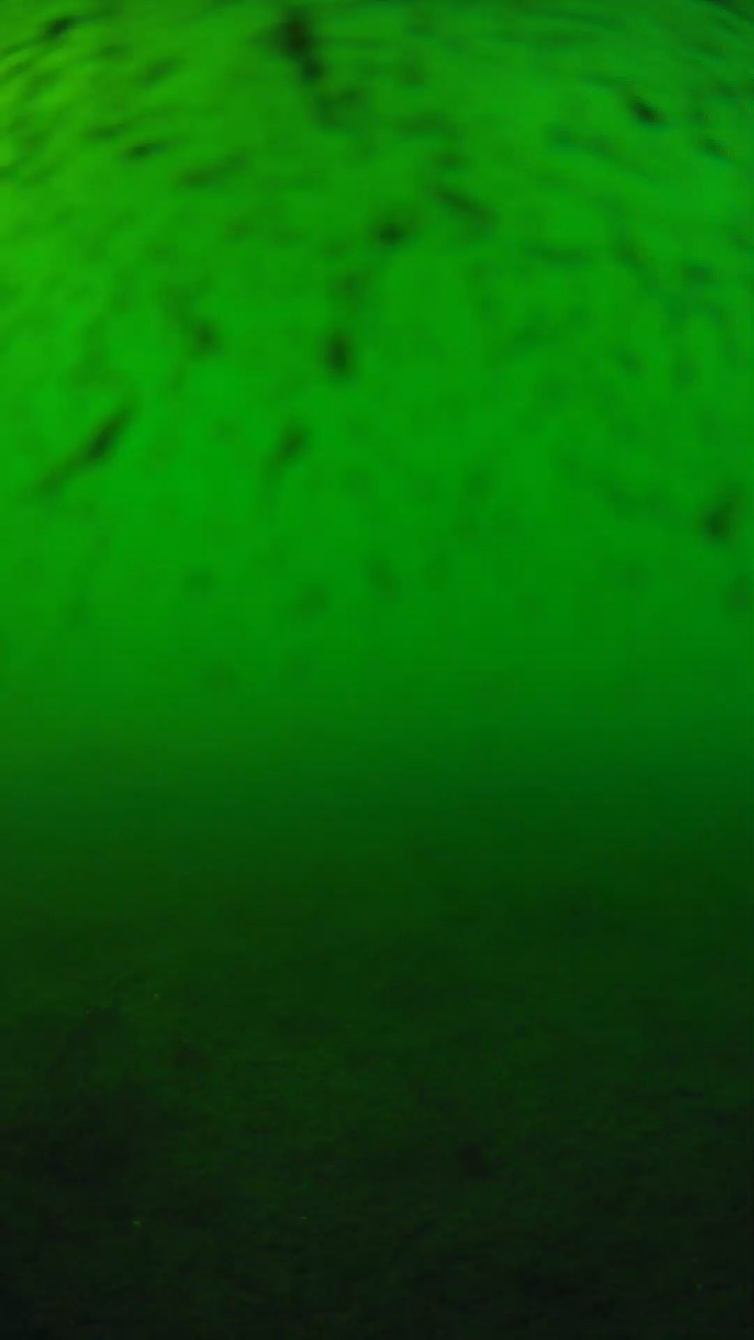 lander_ipcam_20240626173552.png