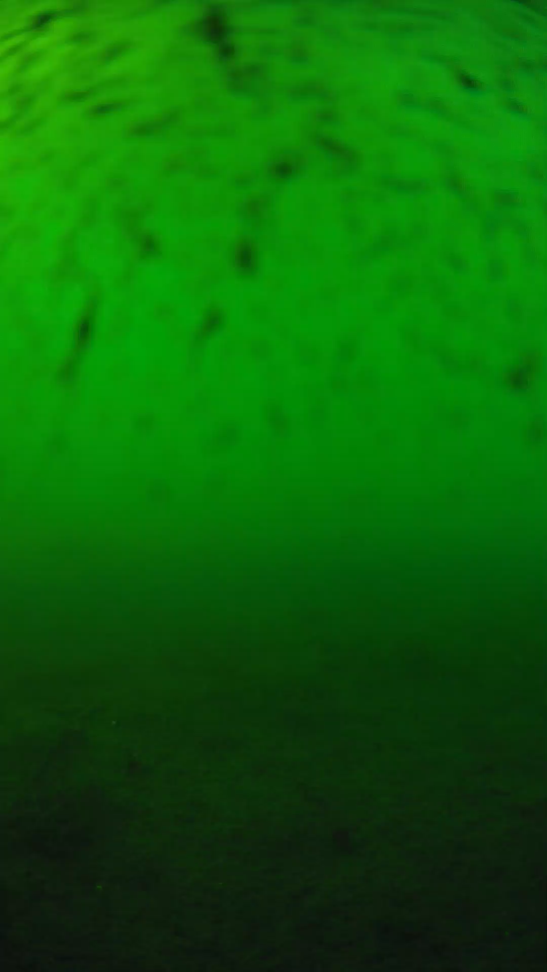 lander_ipcam_20240626173600.png