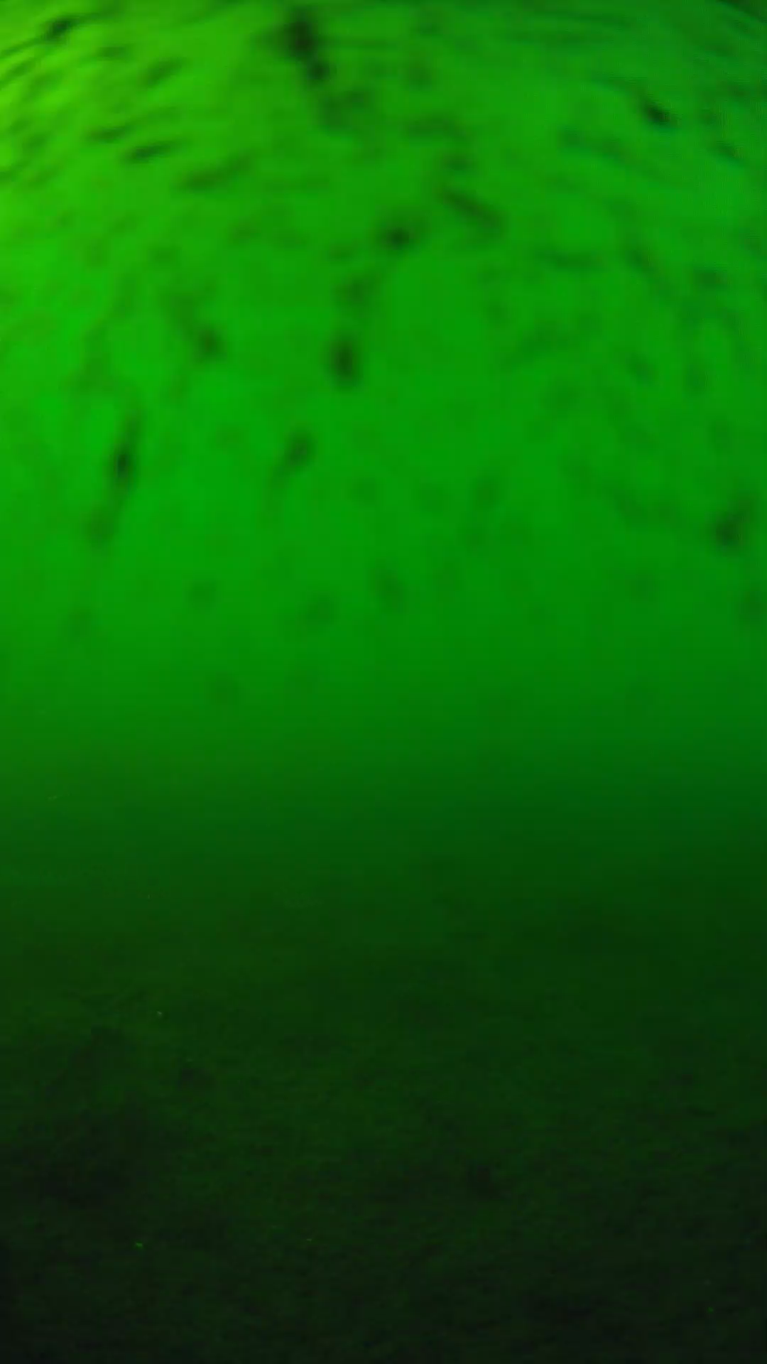 lander_ipcam_20240626173608.png