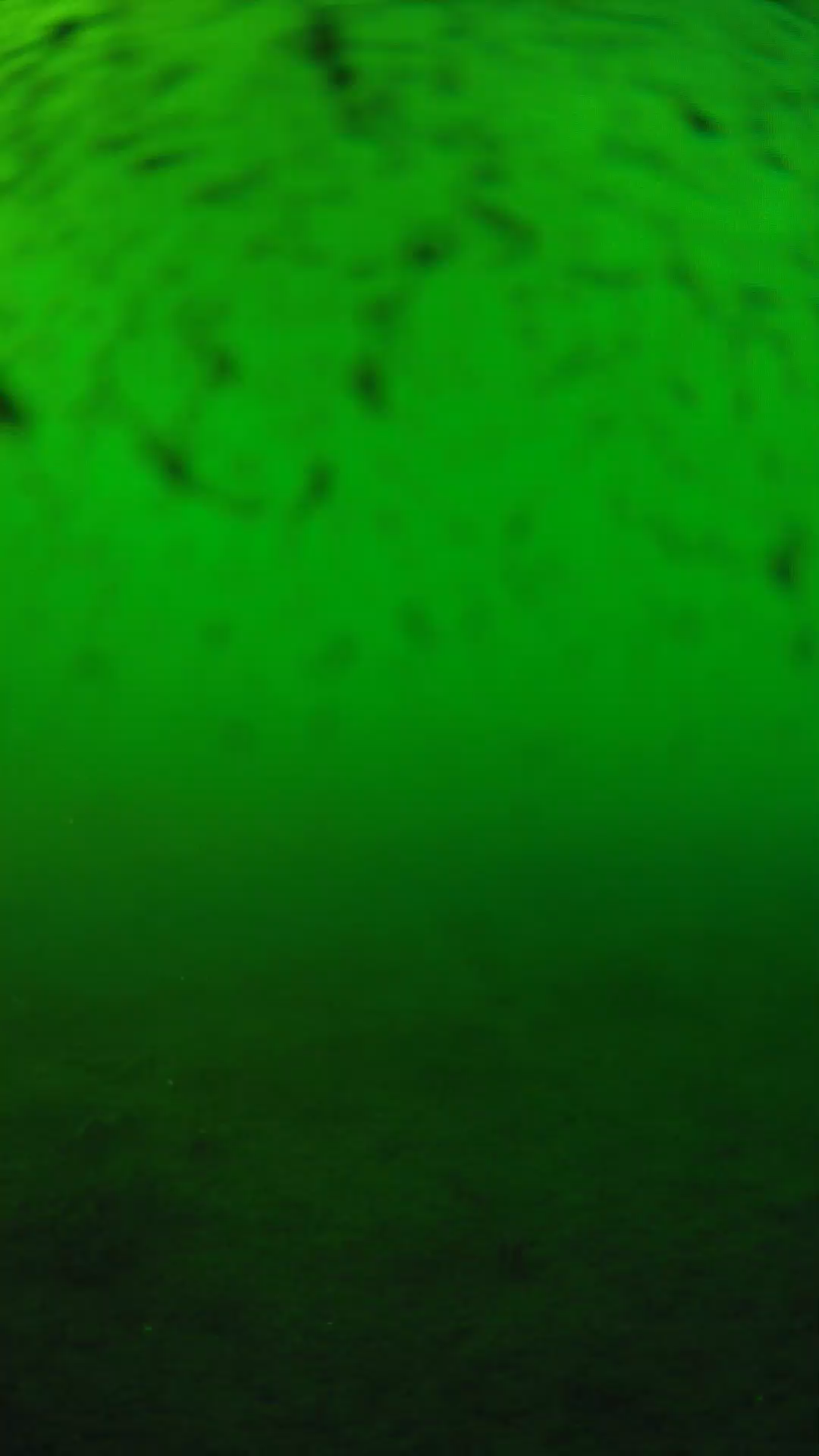 lander_ipcam_20240626180538.png