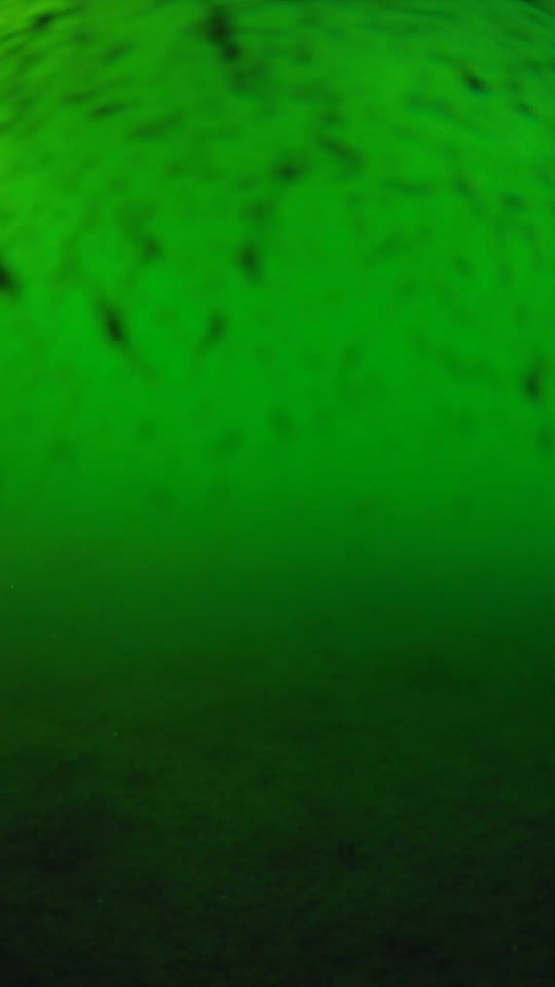 lander_ipcam_20240626180540.png