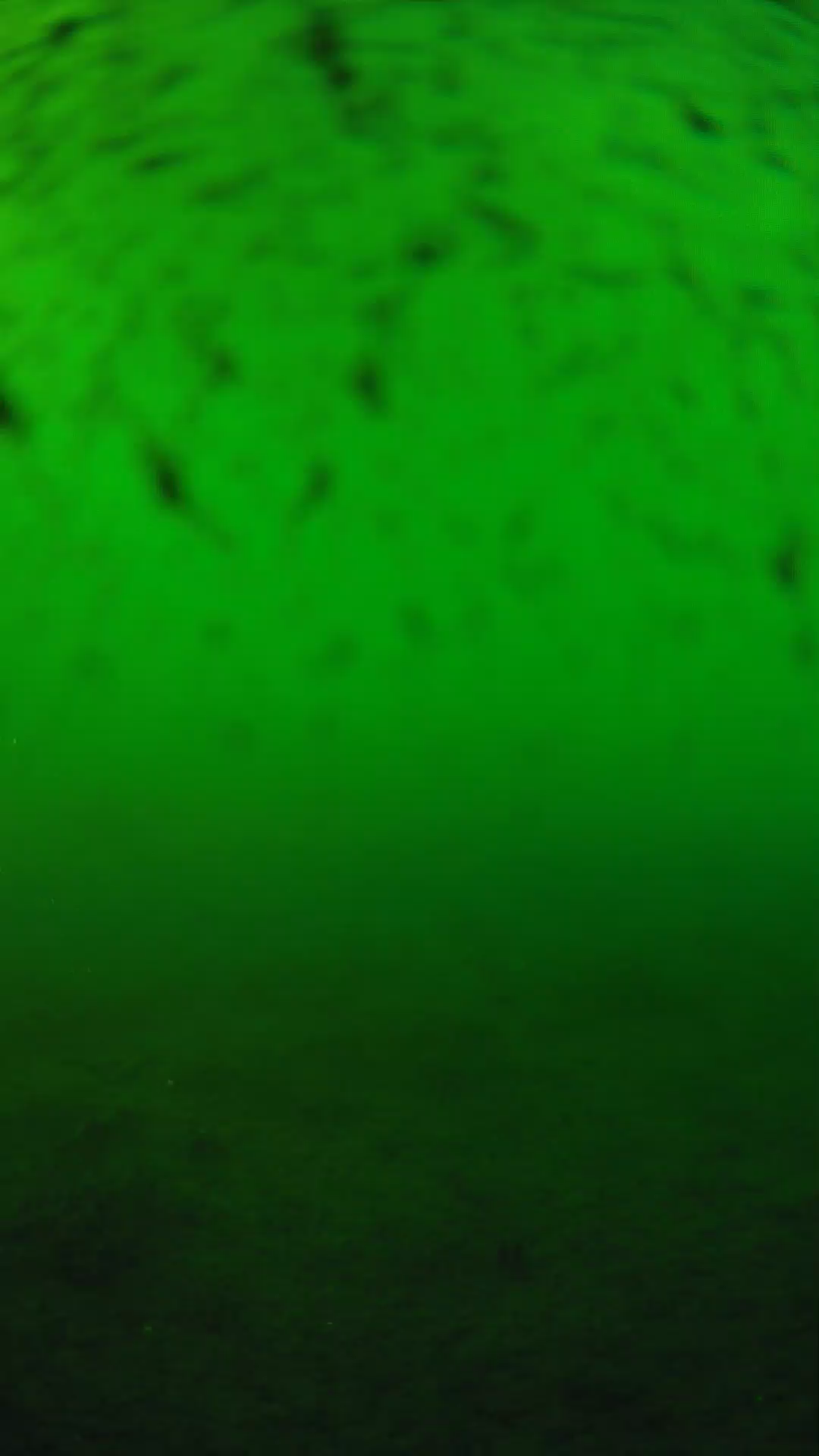 lander_ipcam_20240626180541.png