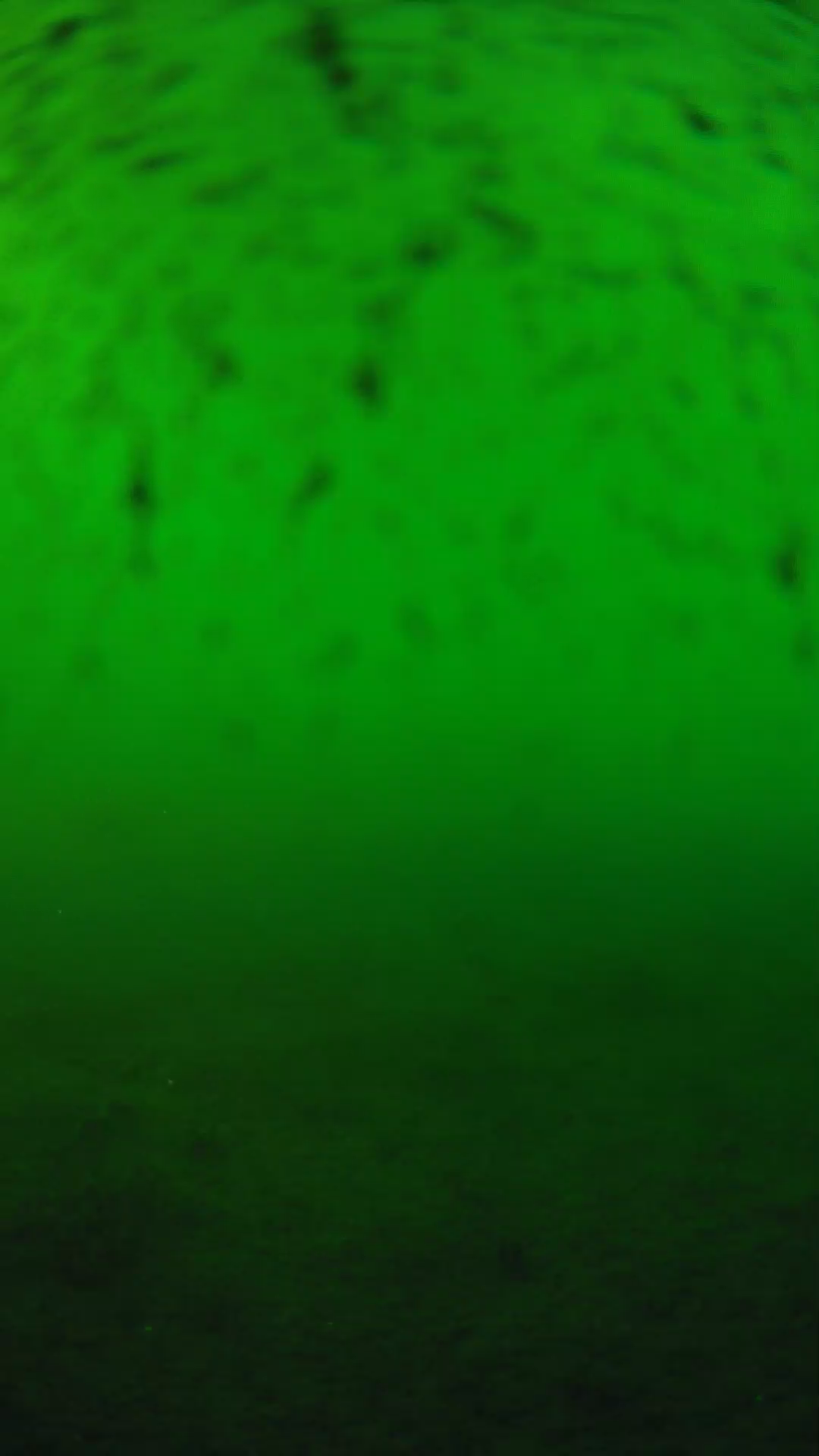 lander_ipcam_20240626180543.png